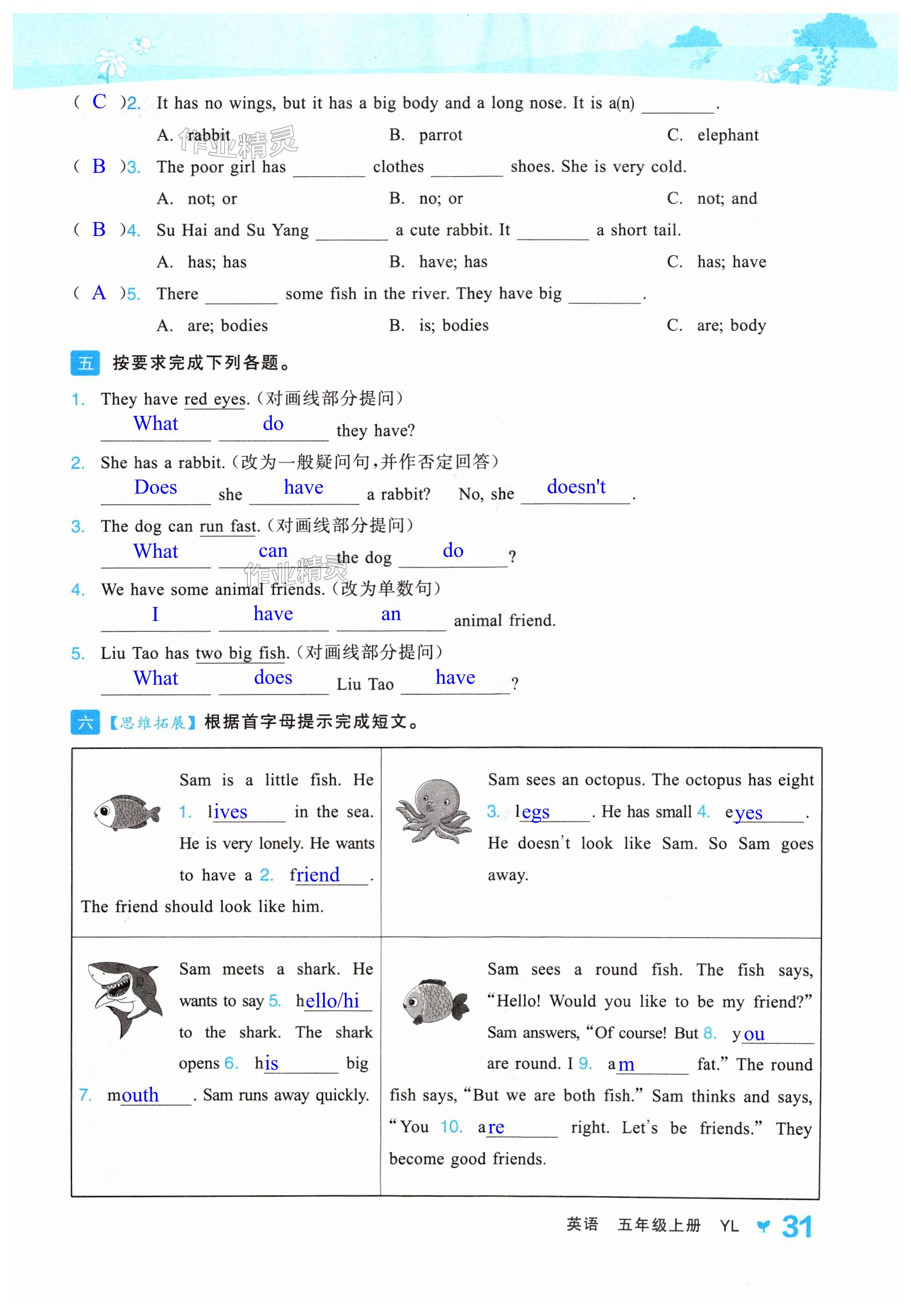 第31页