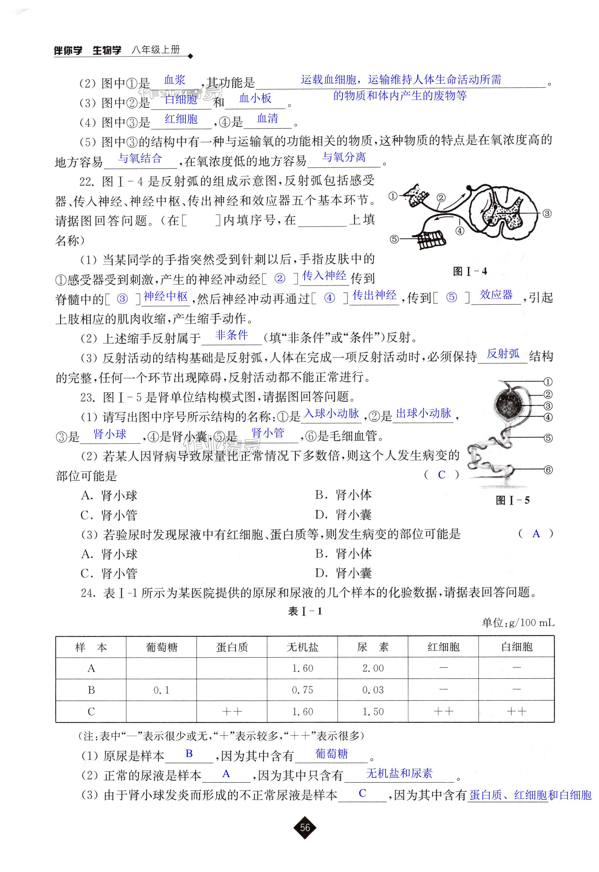 第56页