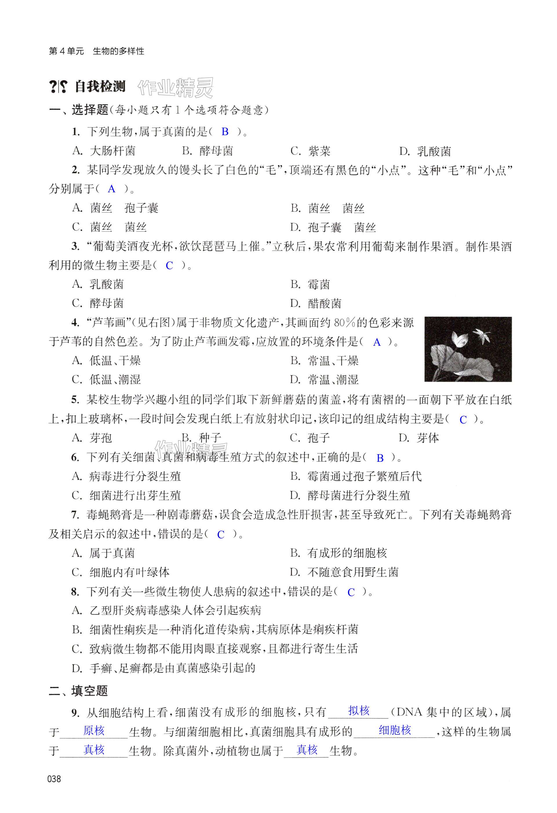 第38页