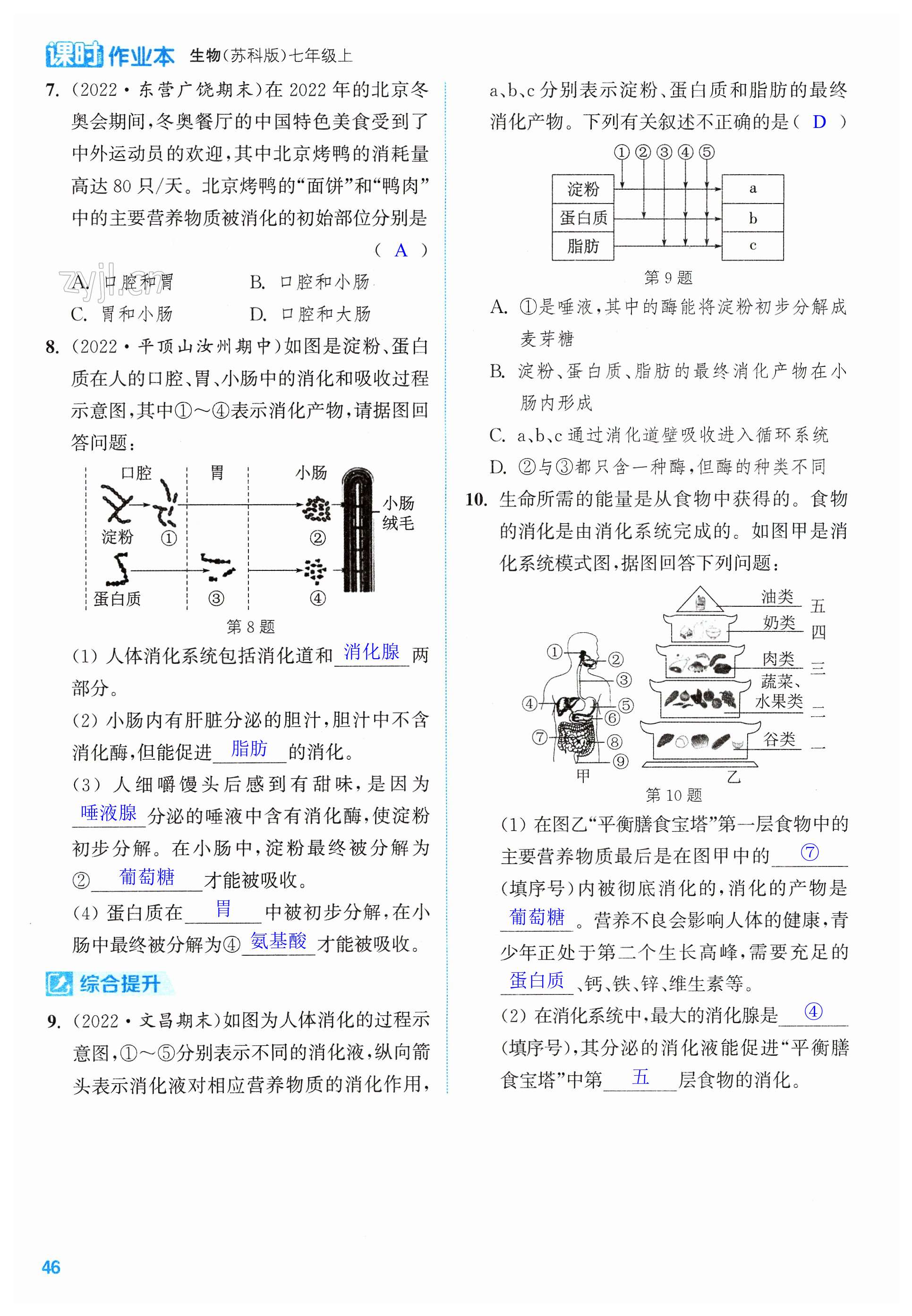 第46页