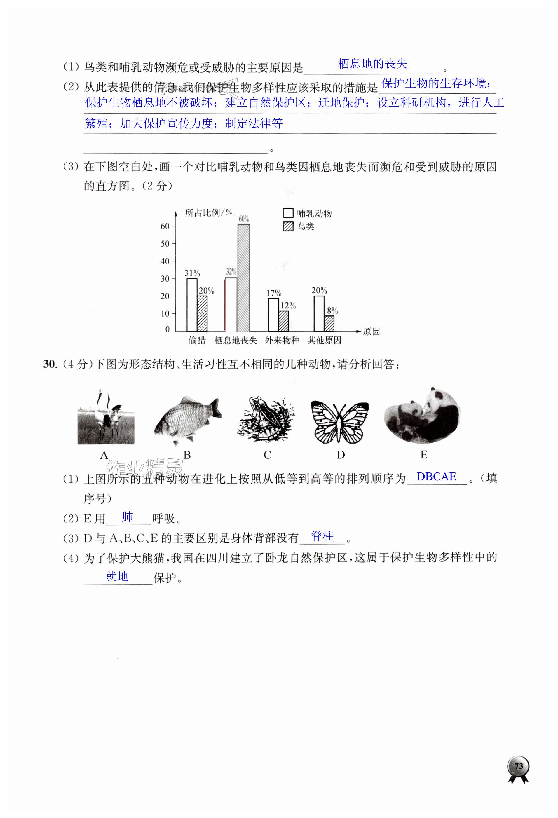 第73页