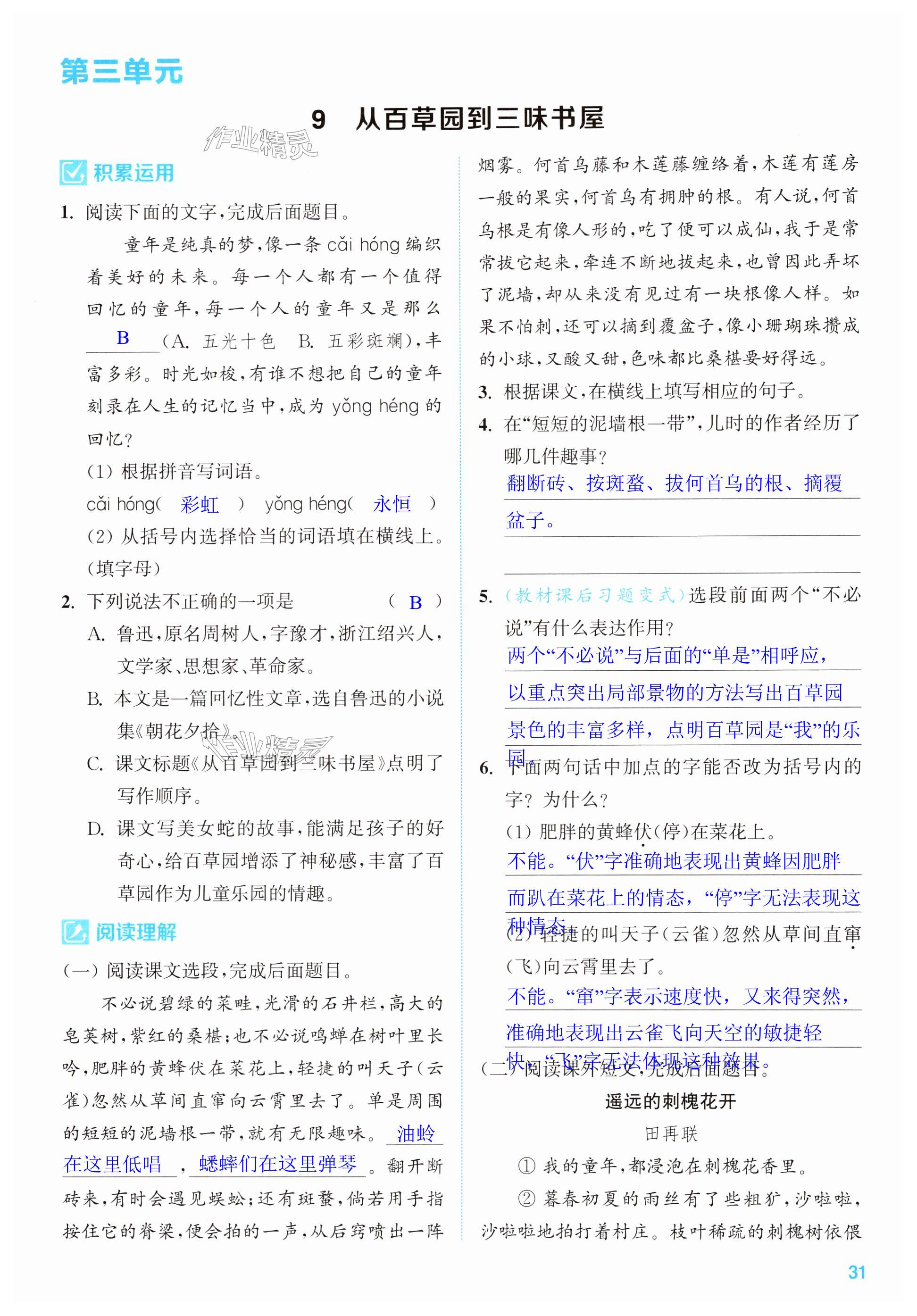 第31页