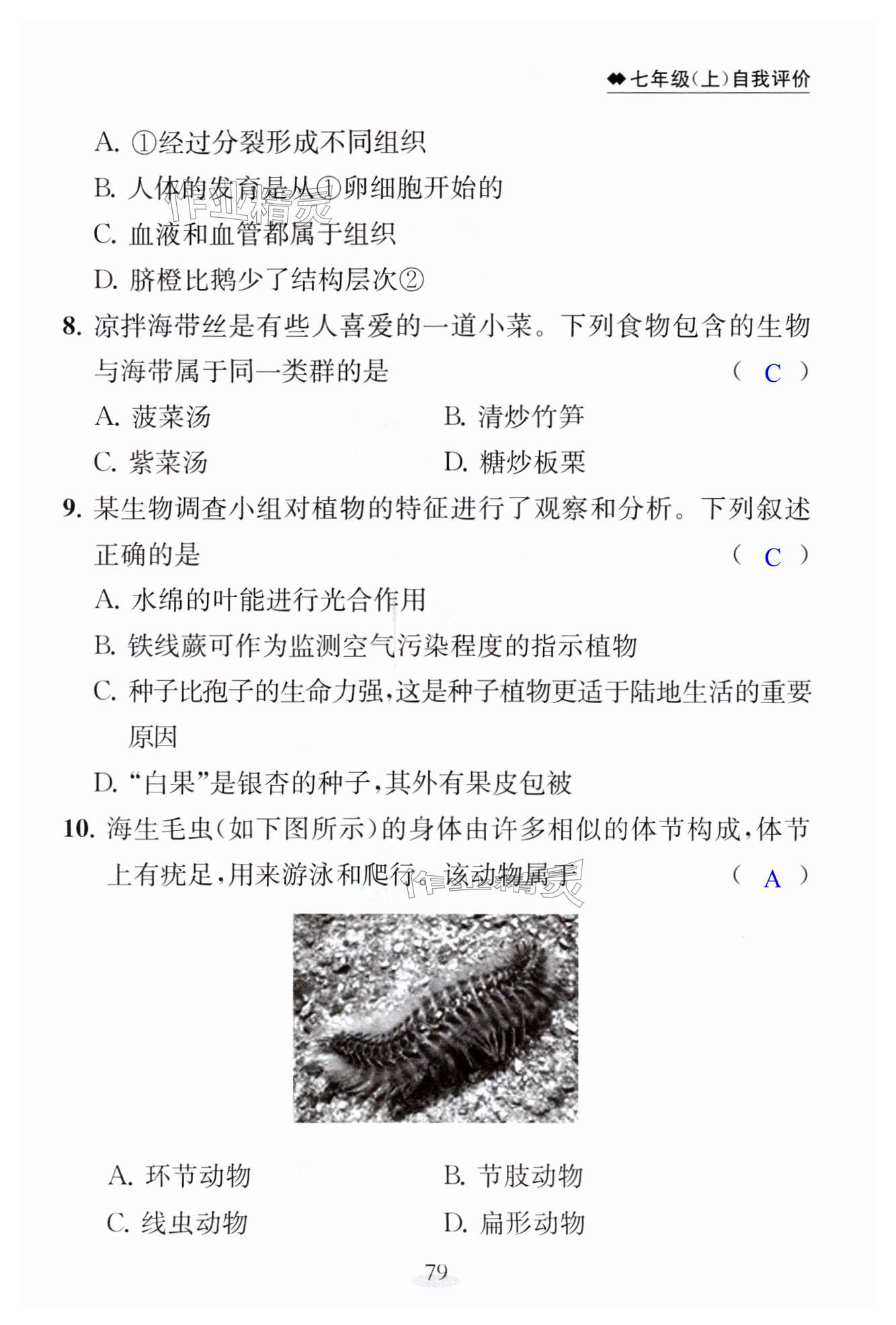 第79页