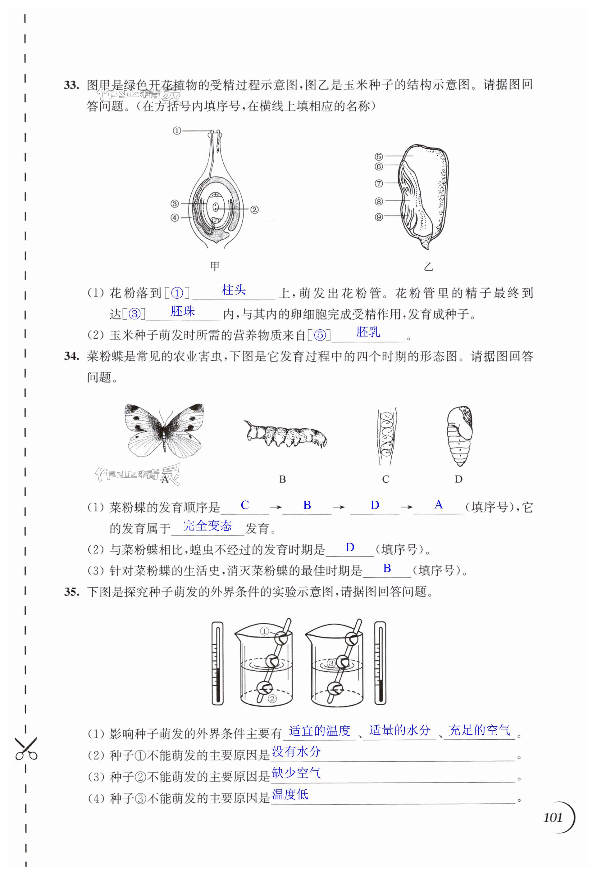 第101页