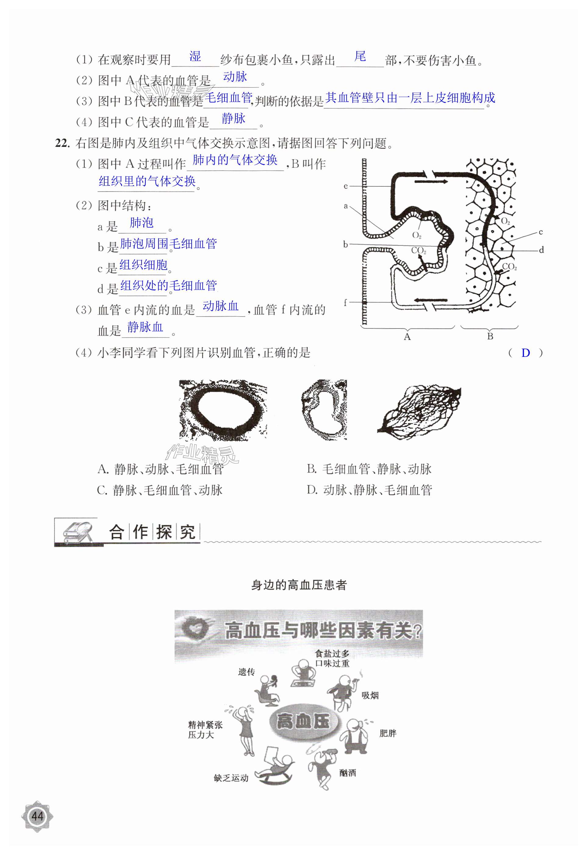 第44页