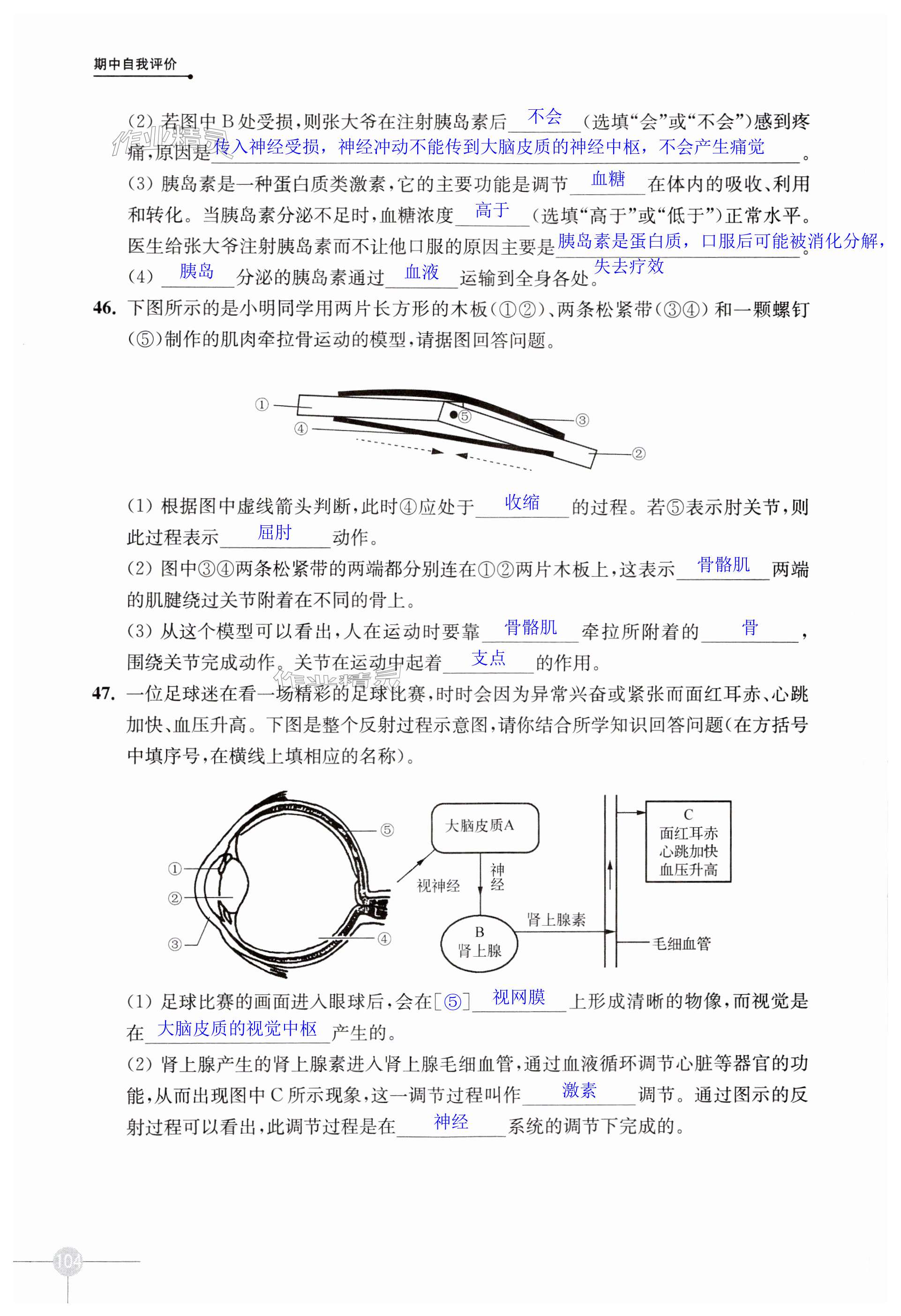 第104页