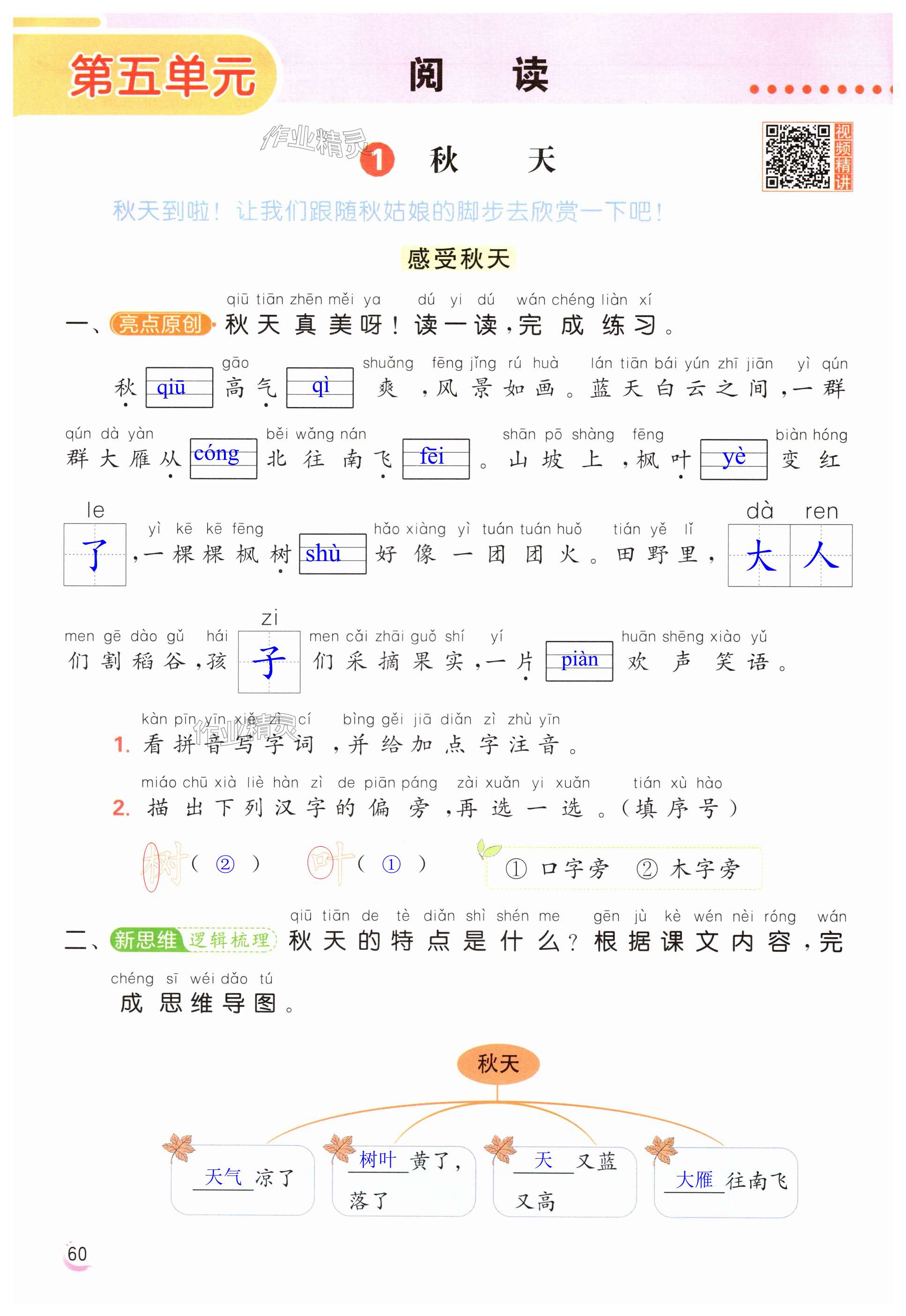 第60页