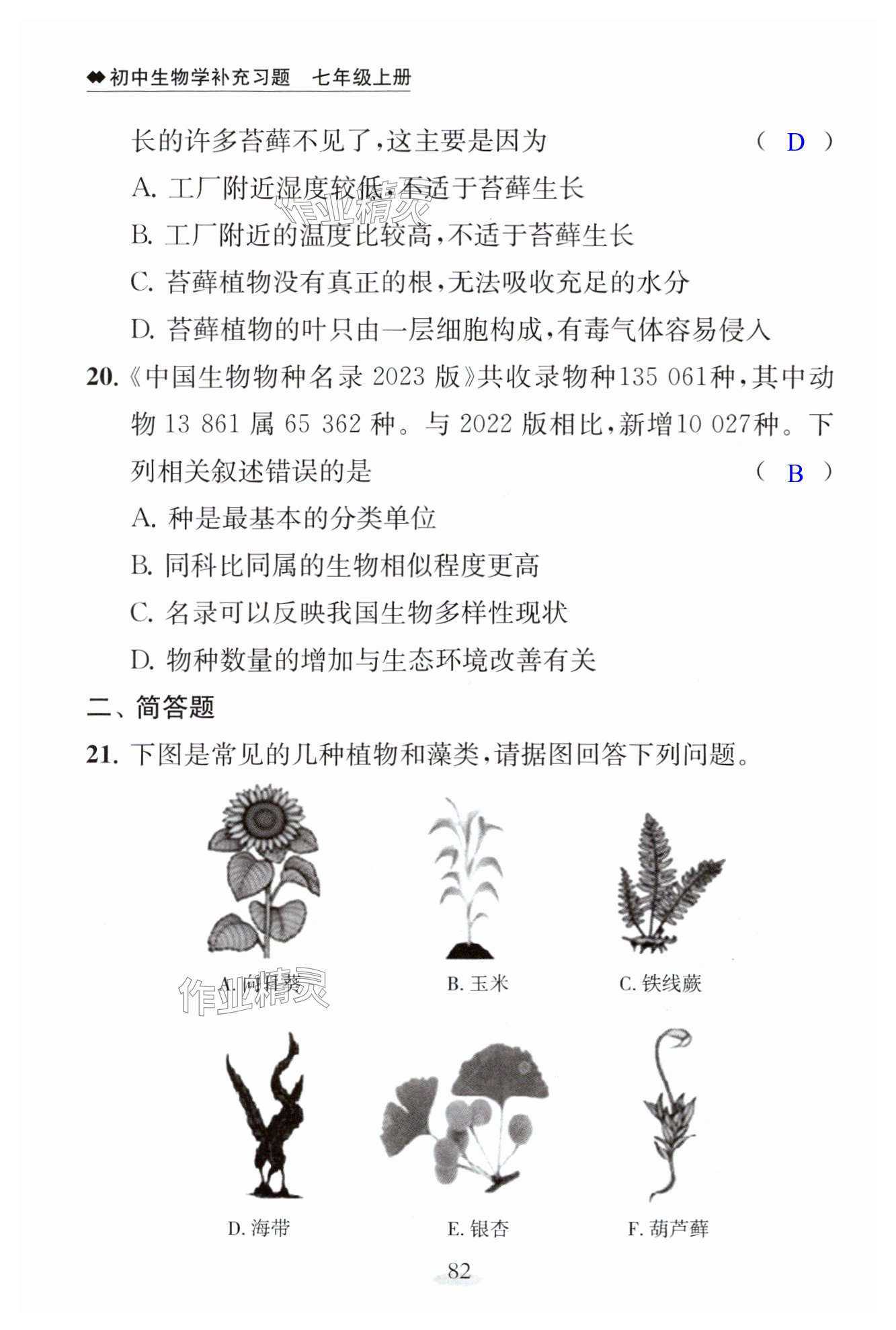 第82页