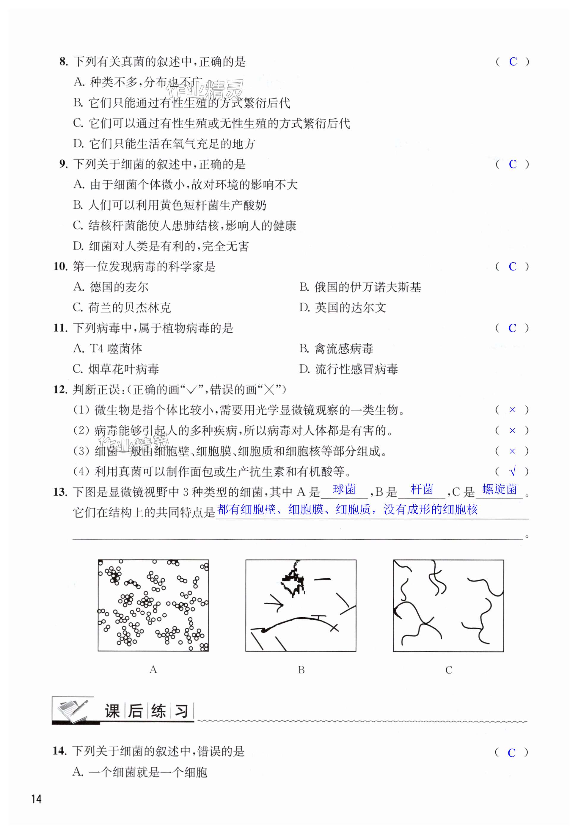 第14页