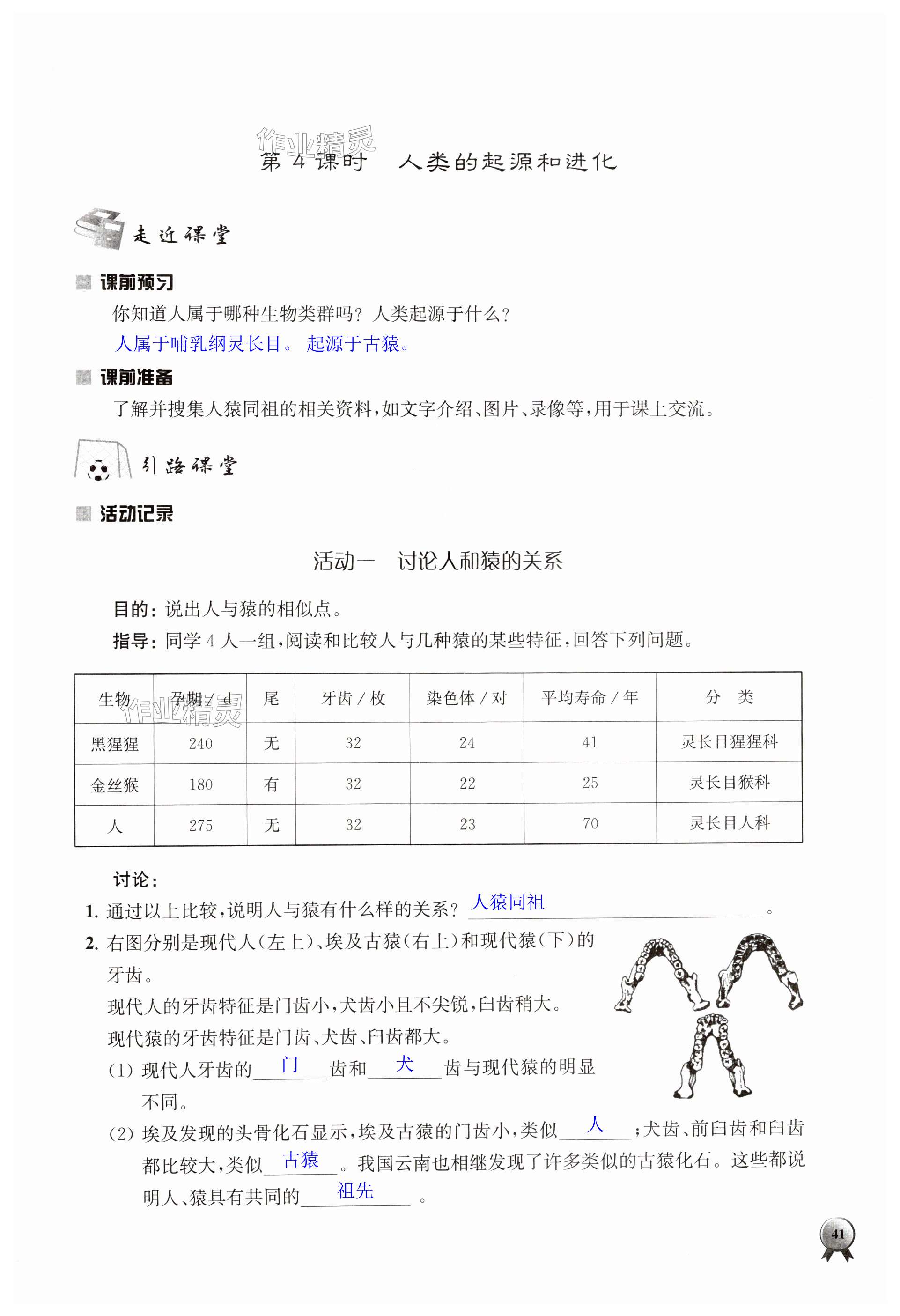 第41页