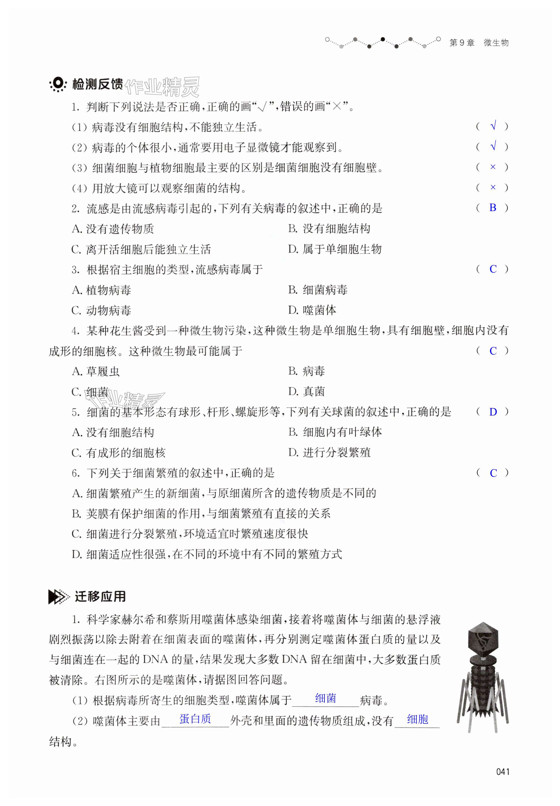 第41页