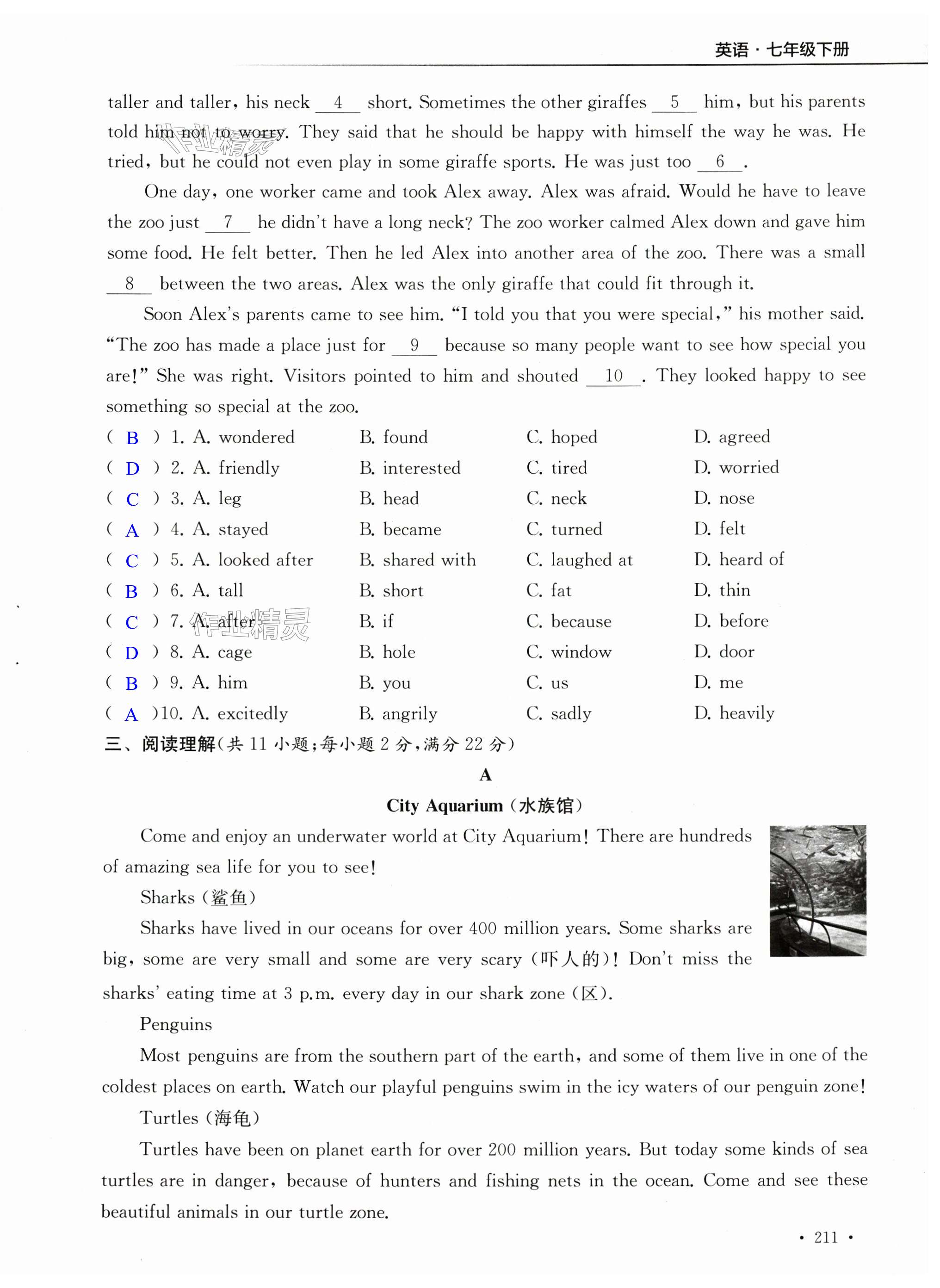 第50页