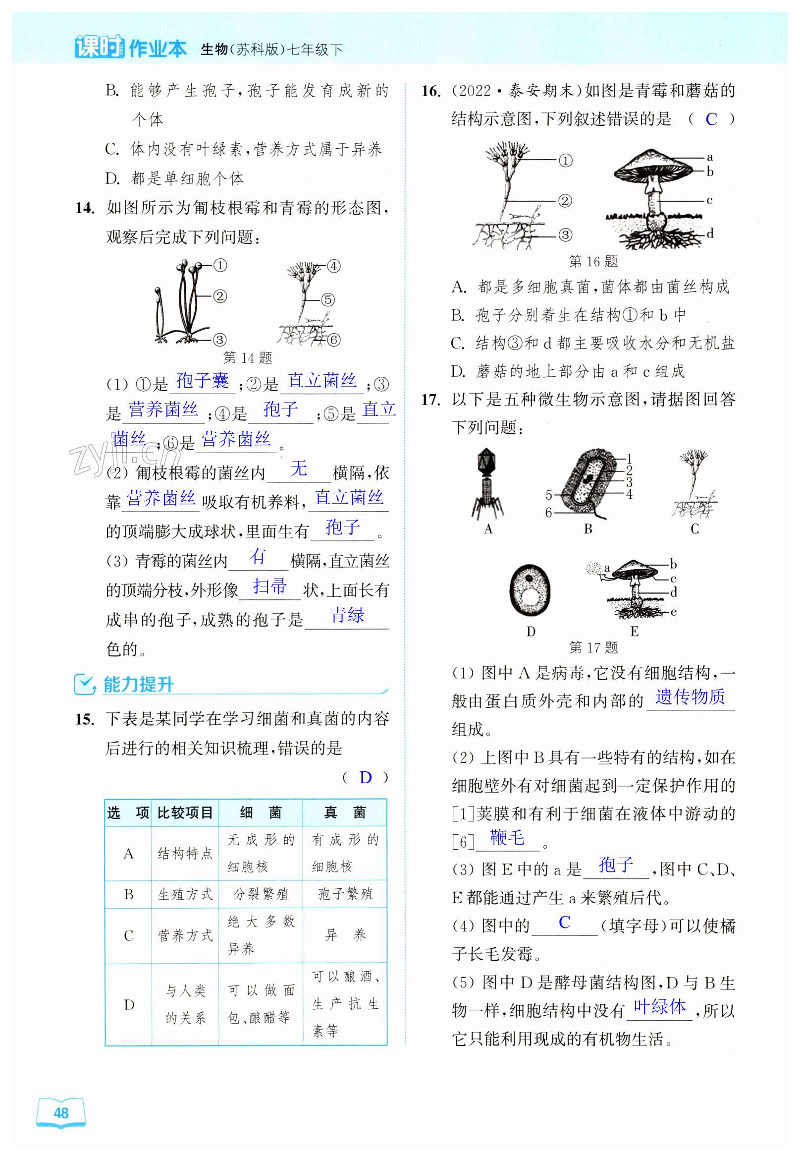 第48页