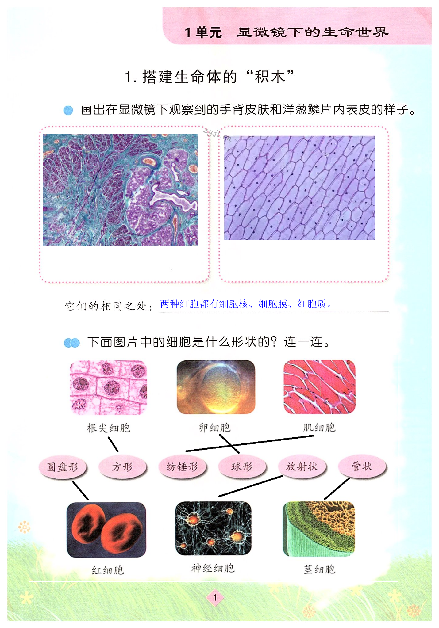 2023年學(xué)生活動手冊江蘇鳳凰教育出版社五年級科學(xué)下冊人教版 第1頁