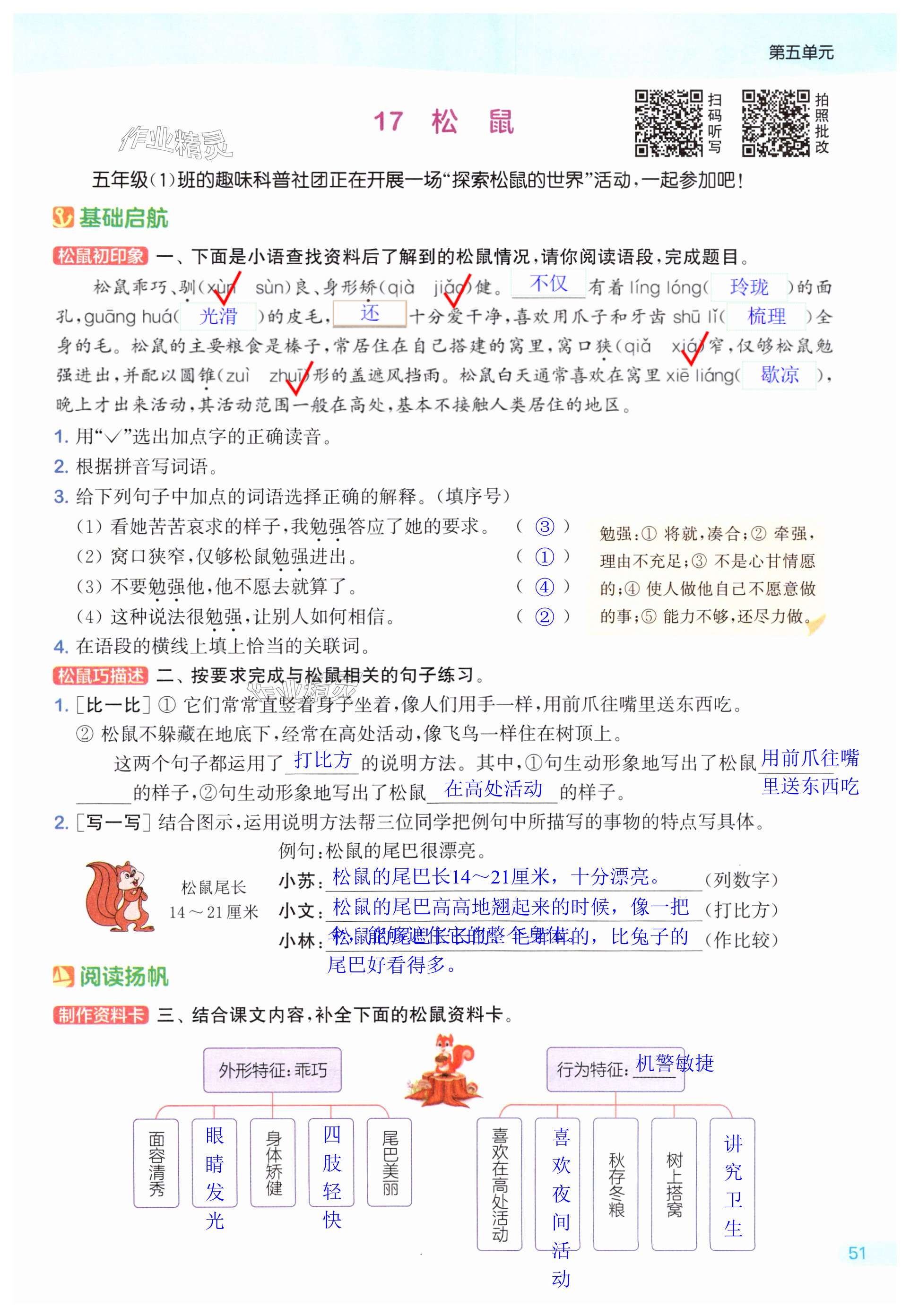 第51页