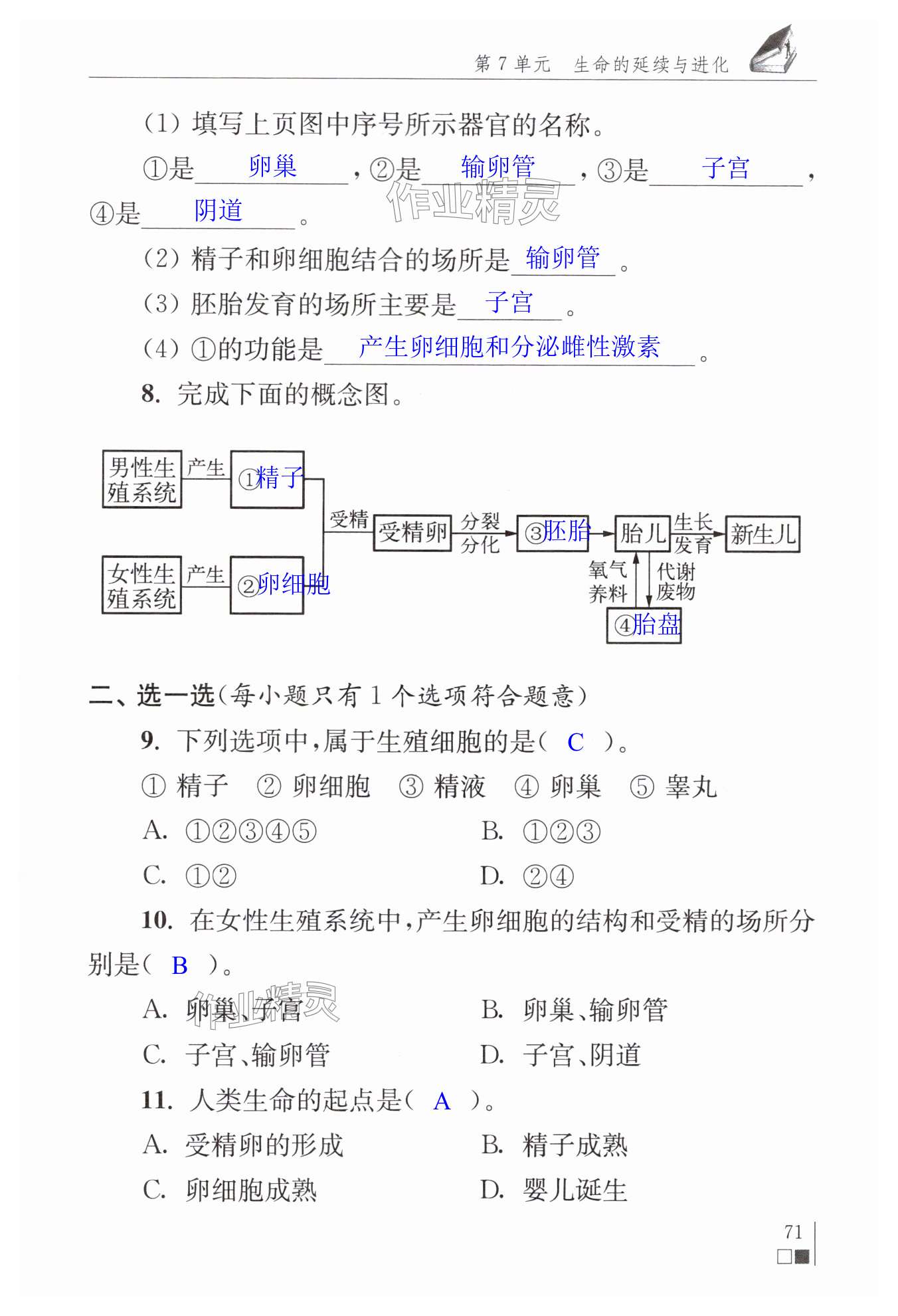 第71页