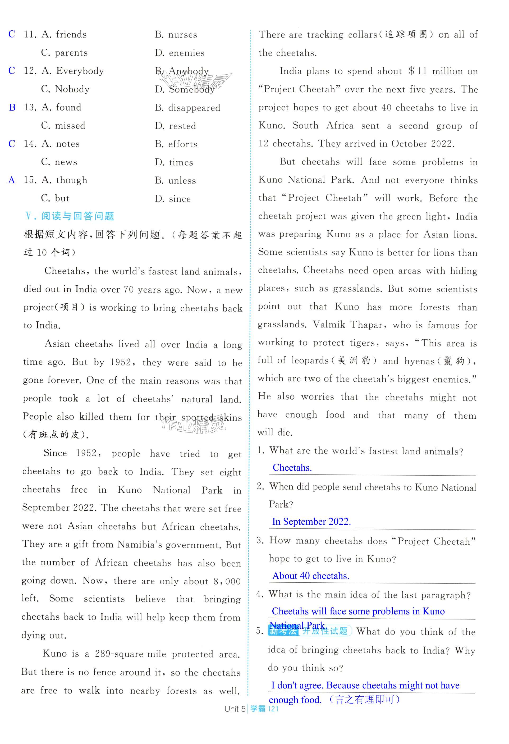 第121页