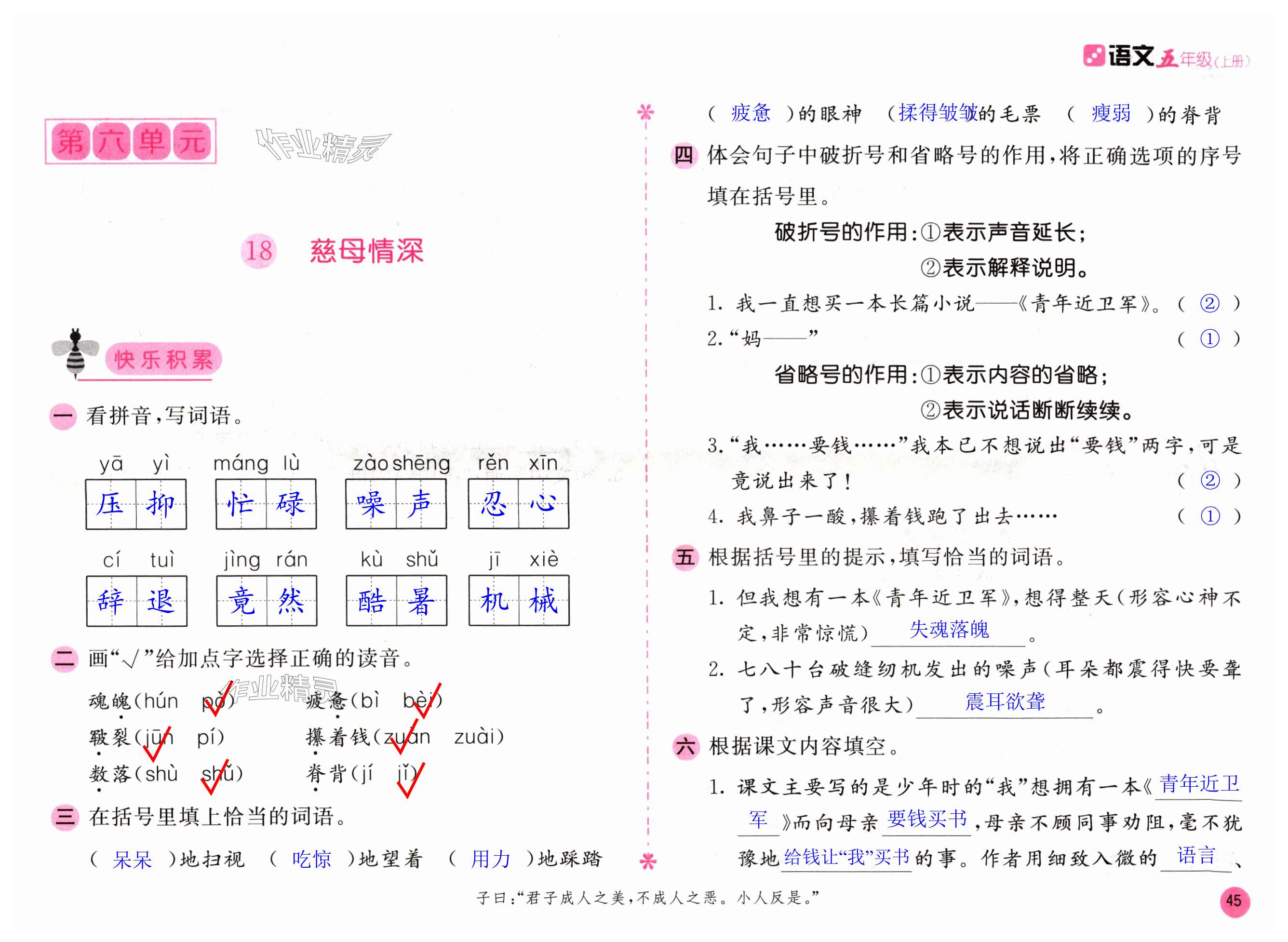 第45页