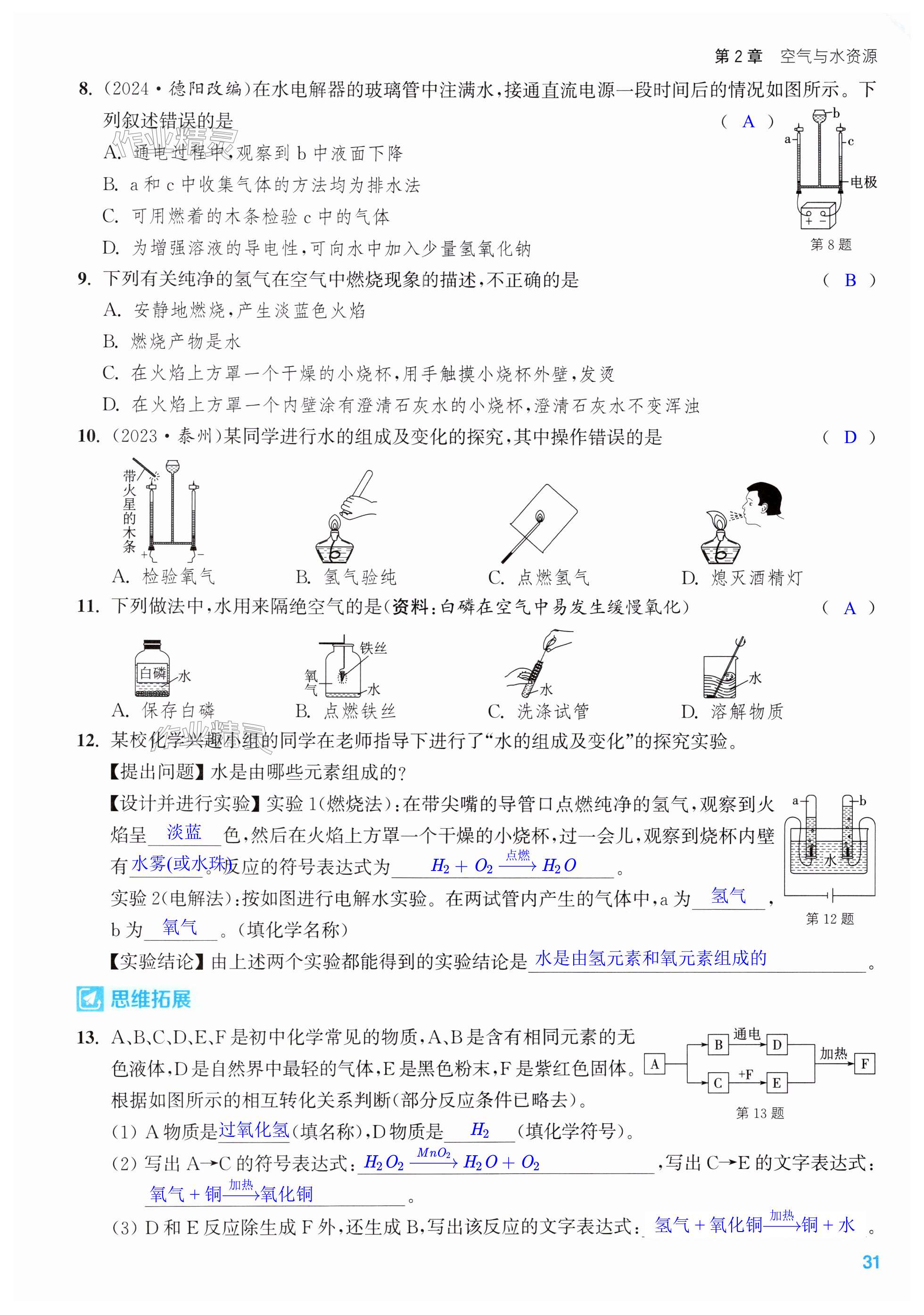 第31页
