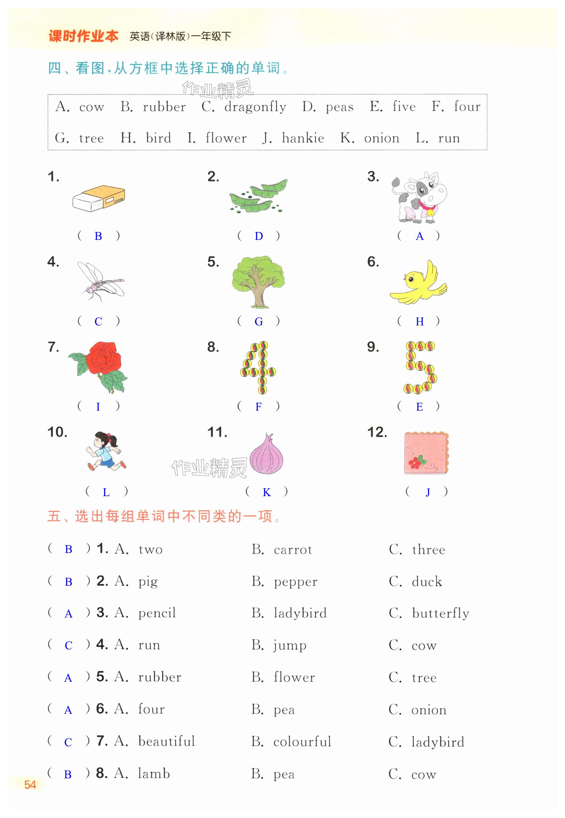 第54页