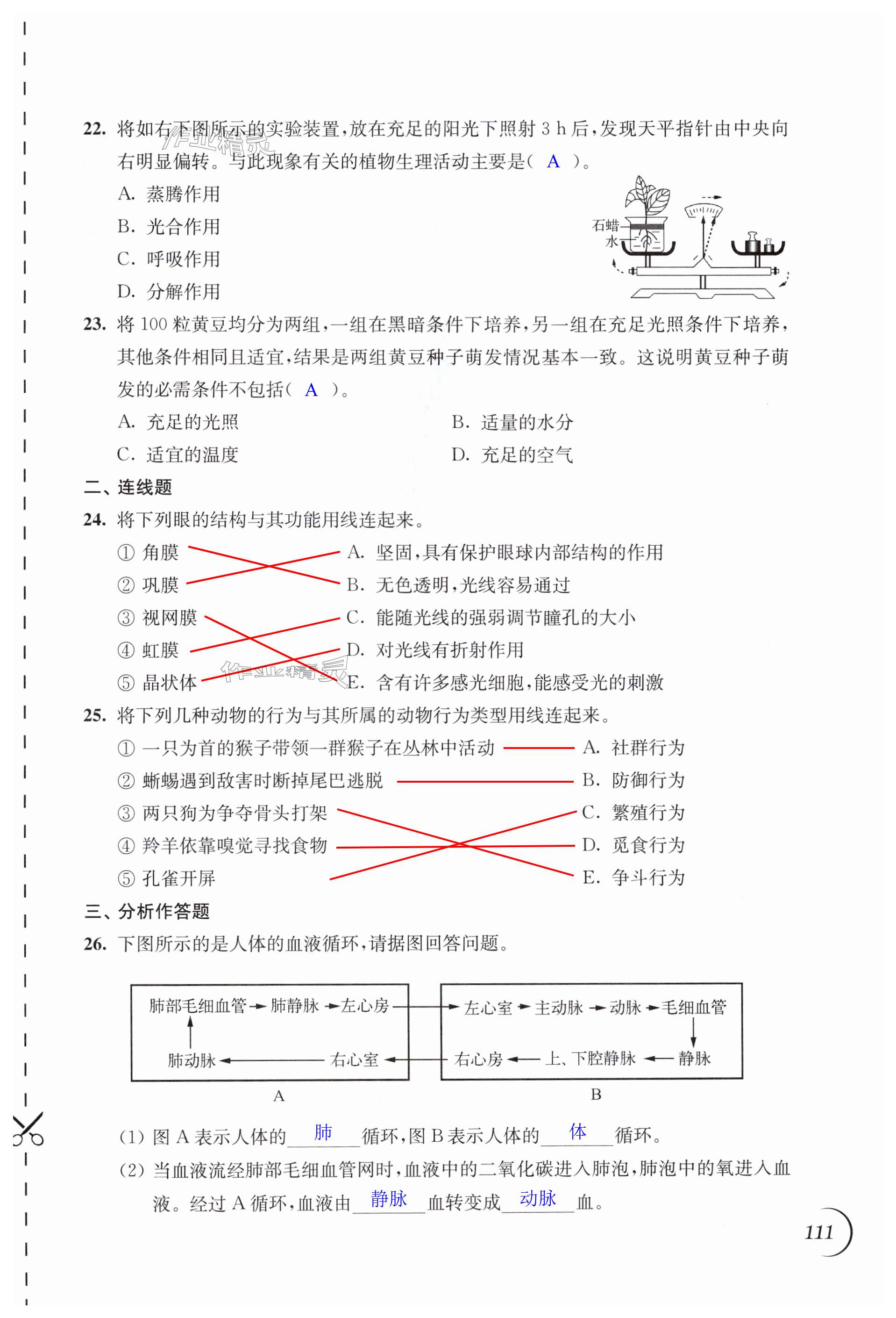 第111页