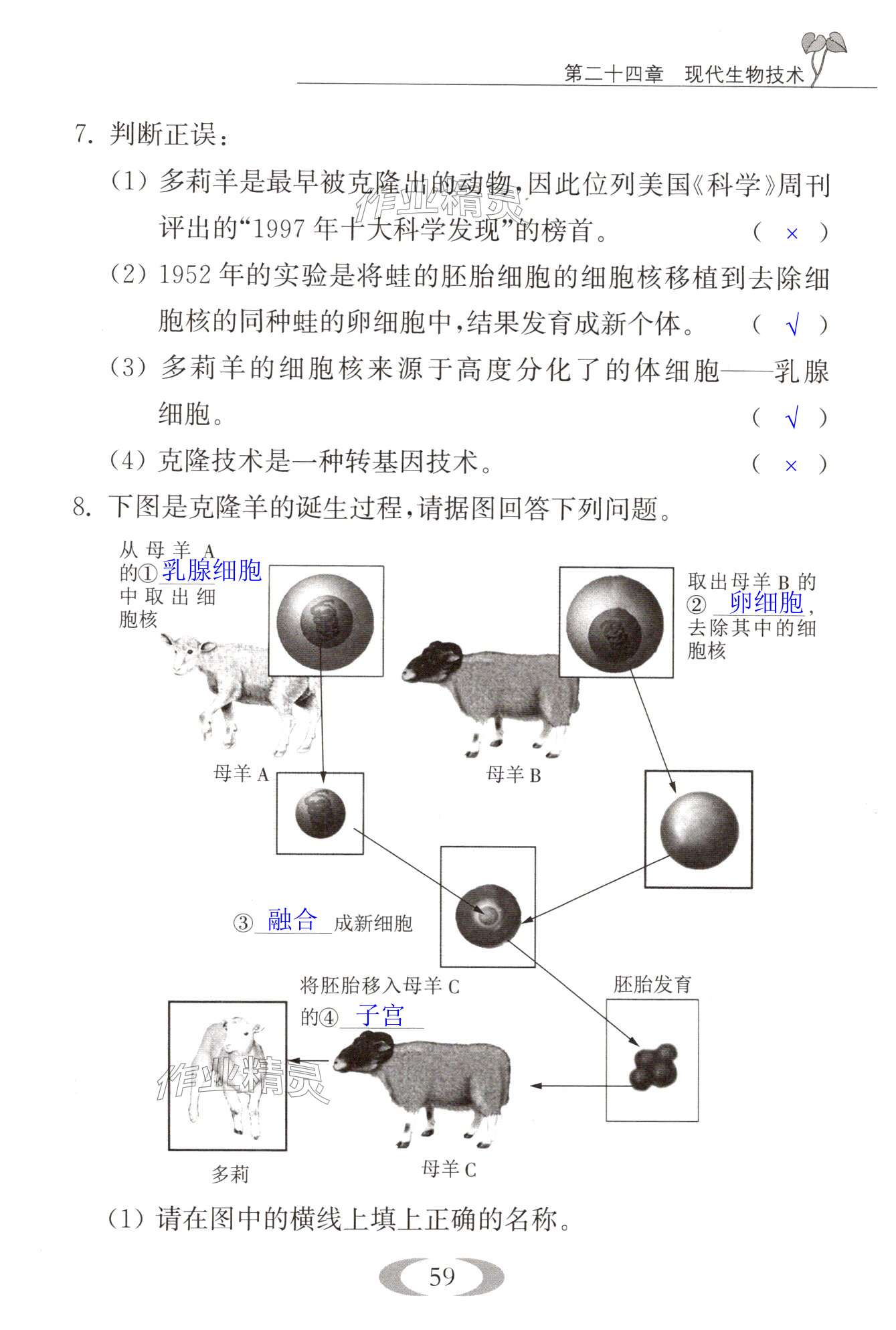 第59页