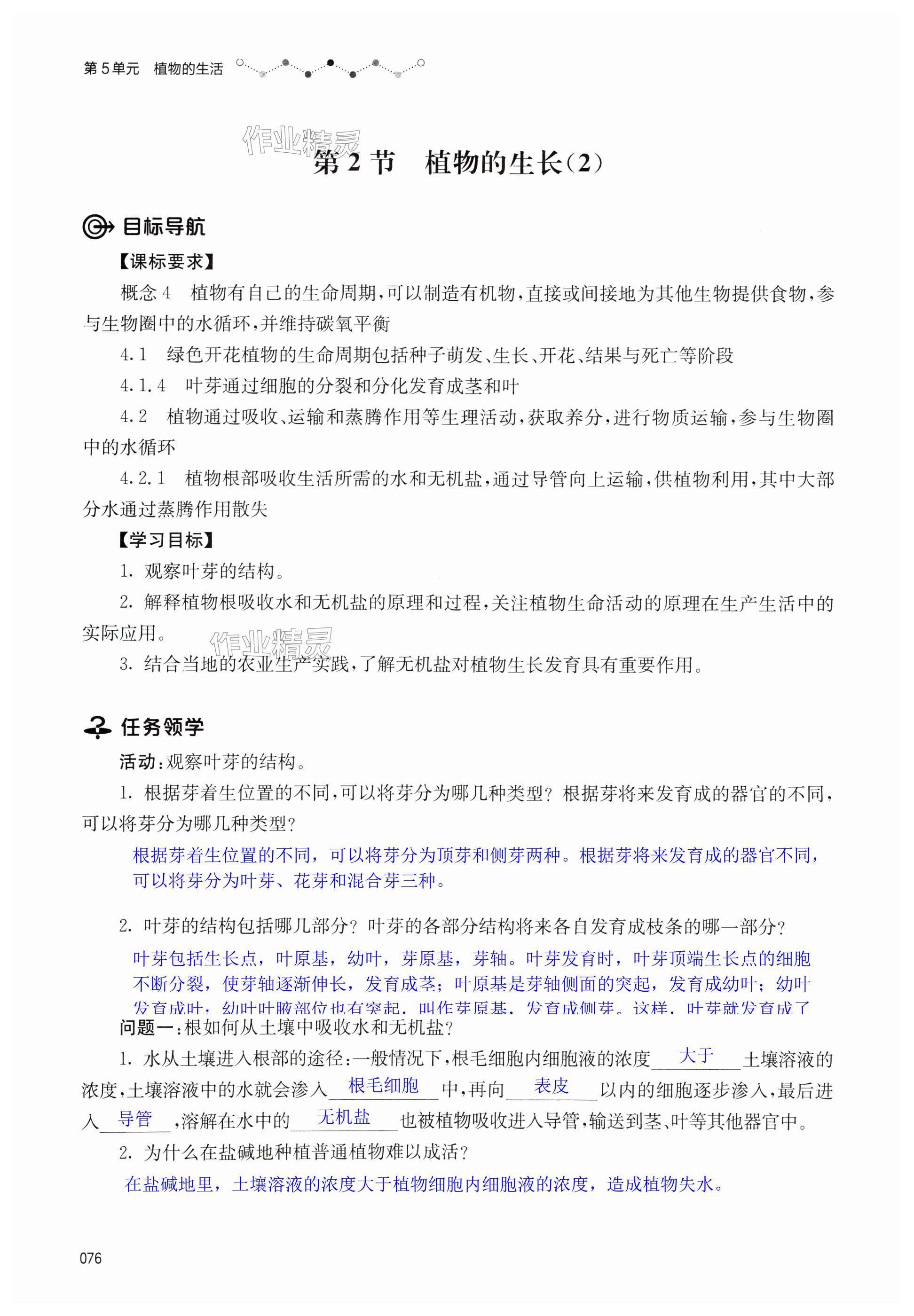 第76页