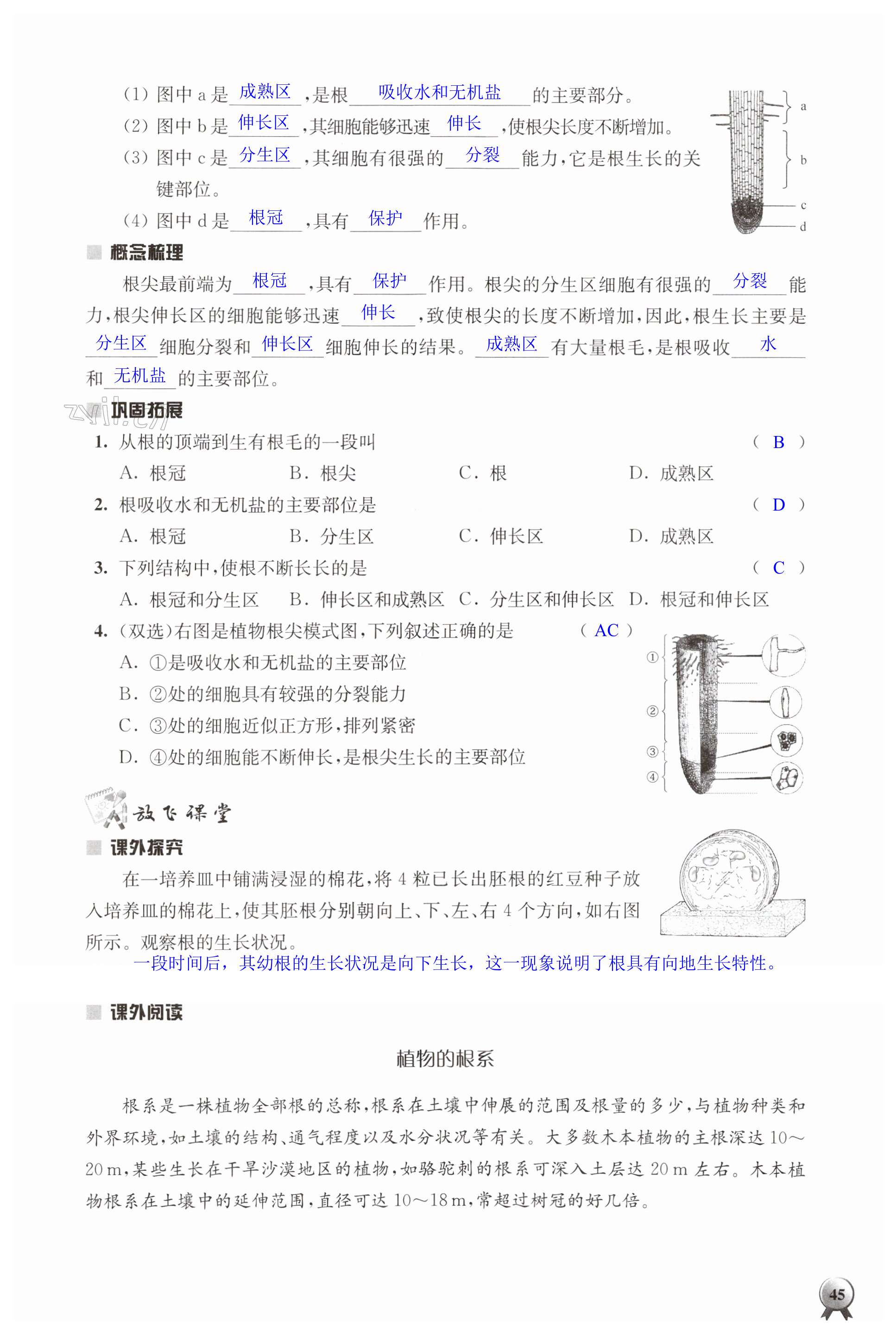 第45页