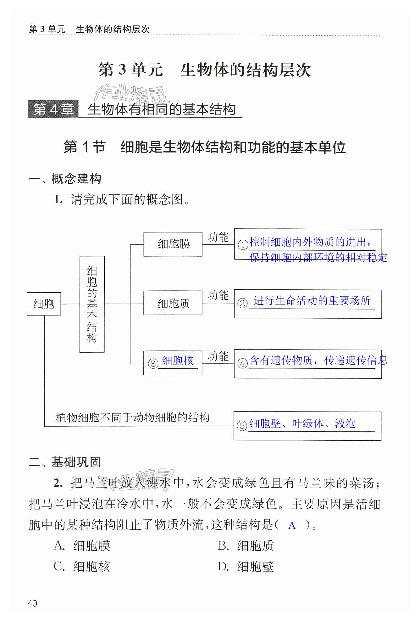 第40页