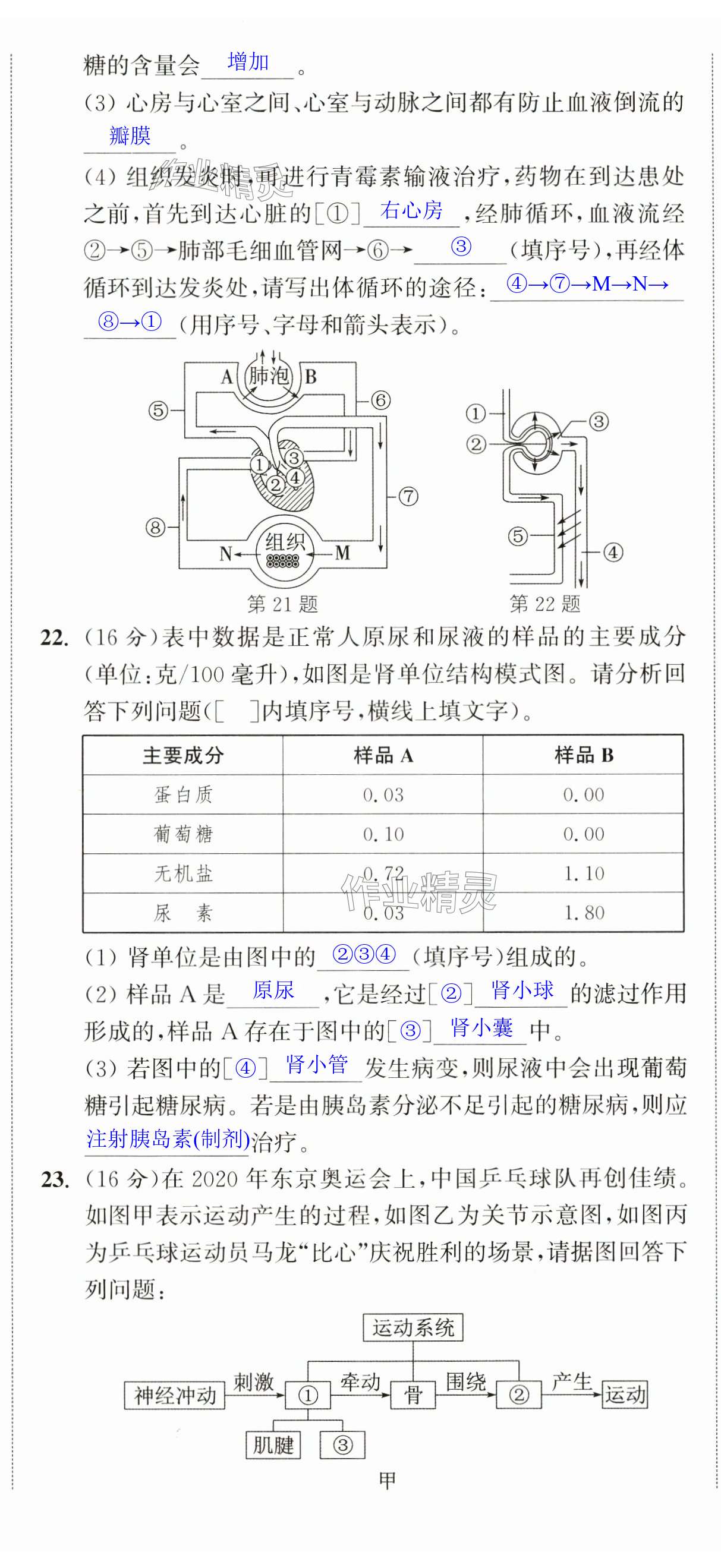 第23页