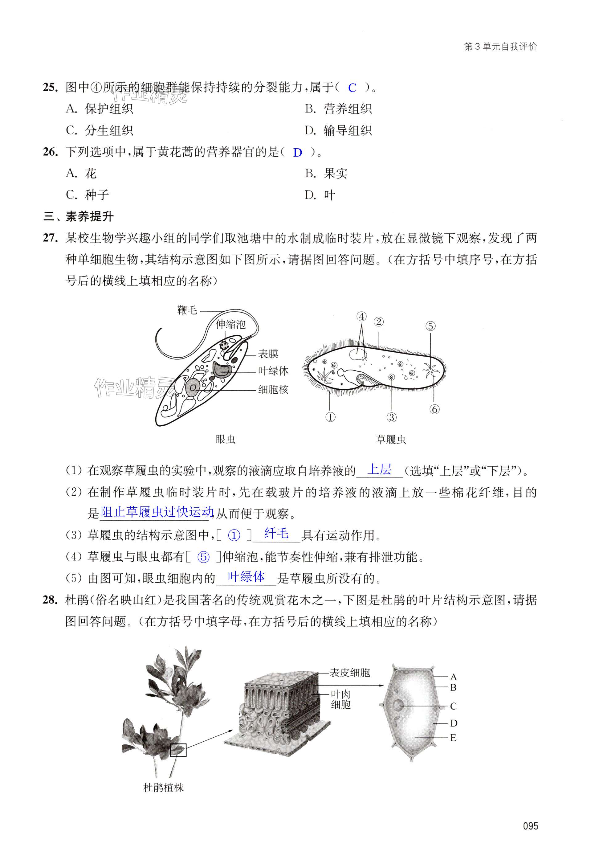 第95页