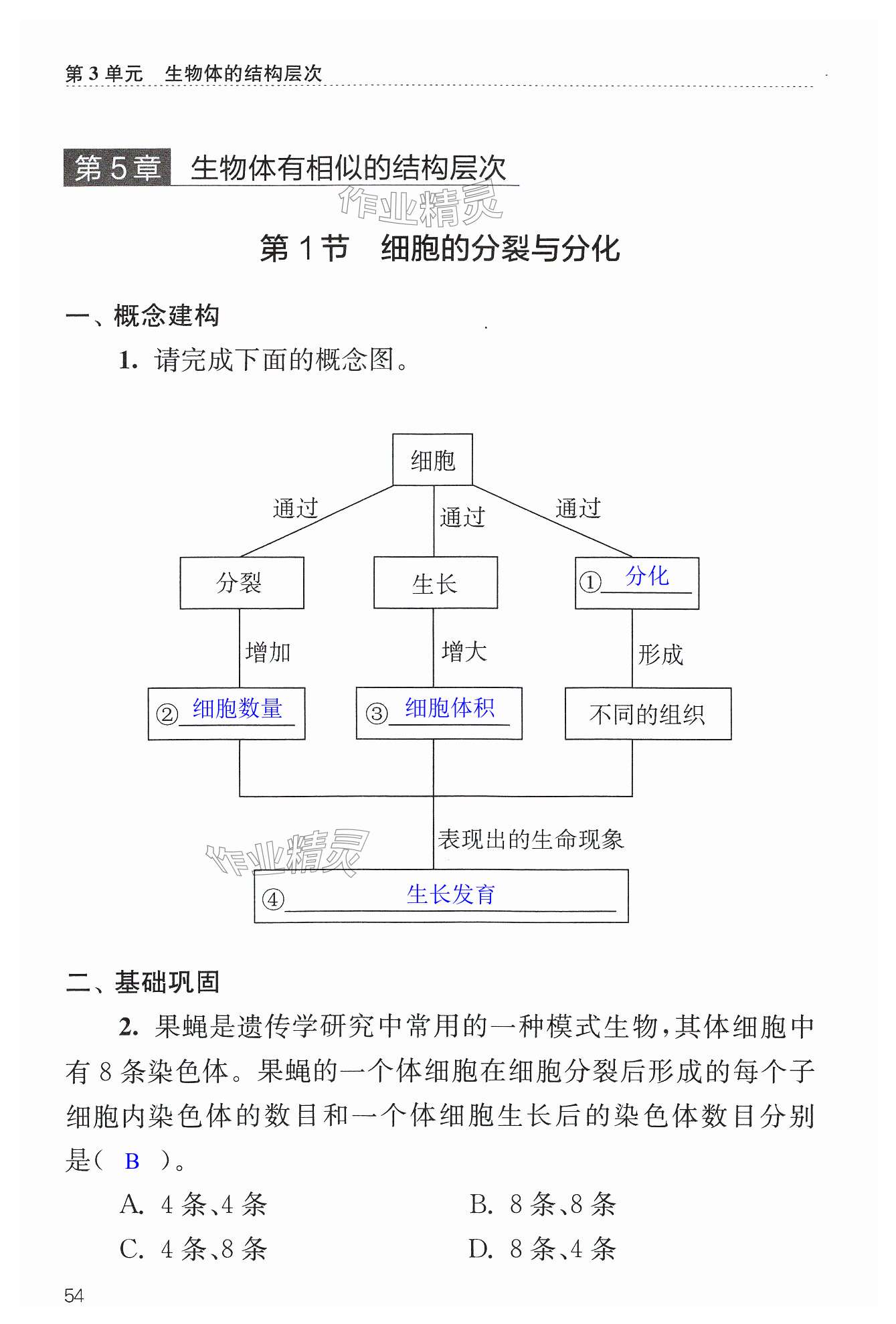 第54页