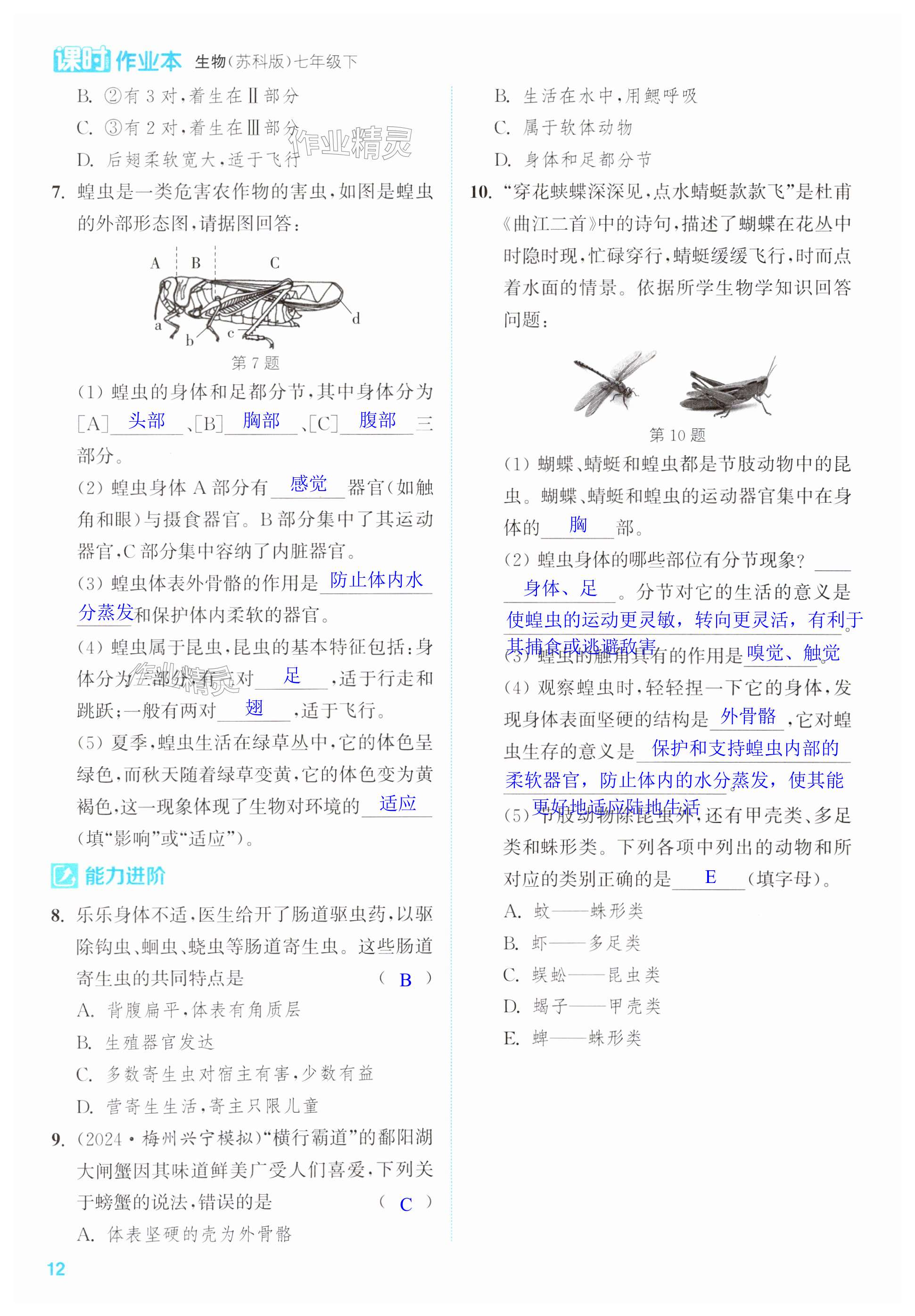 第12页