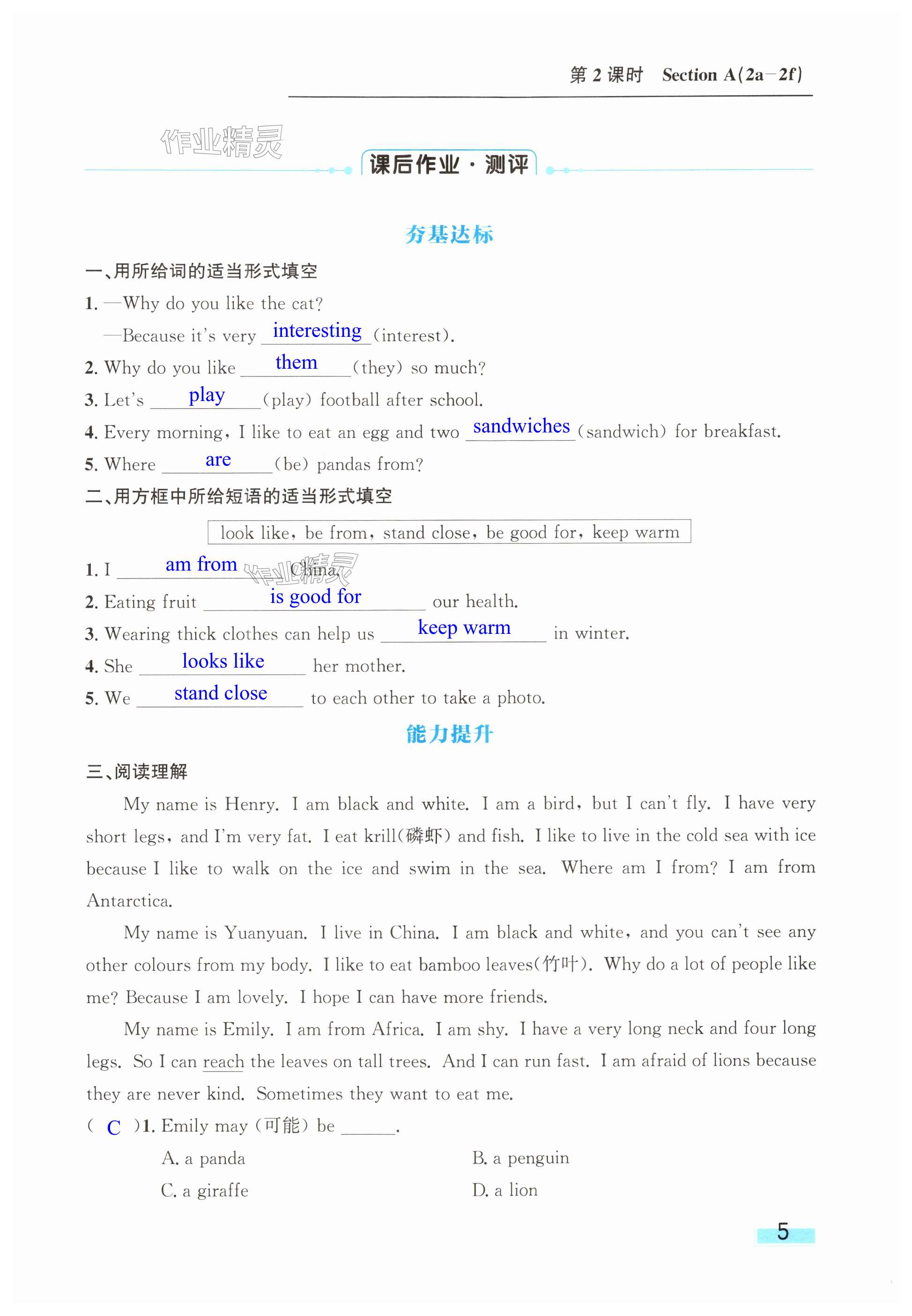 第5页