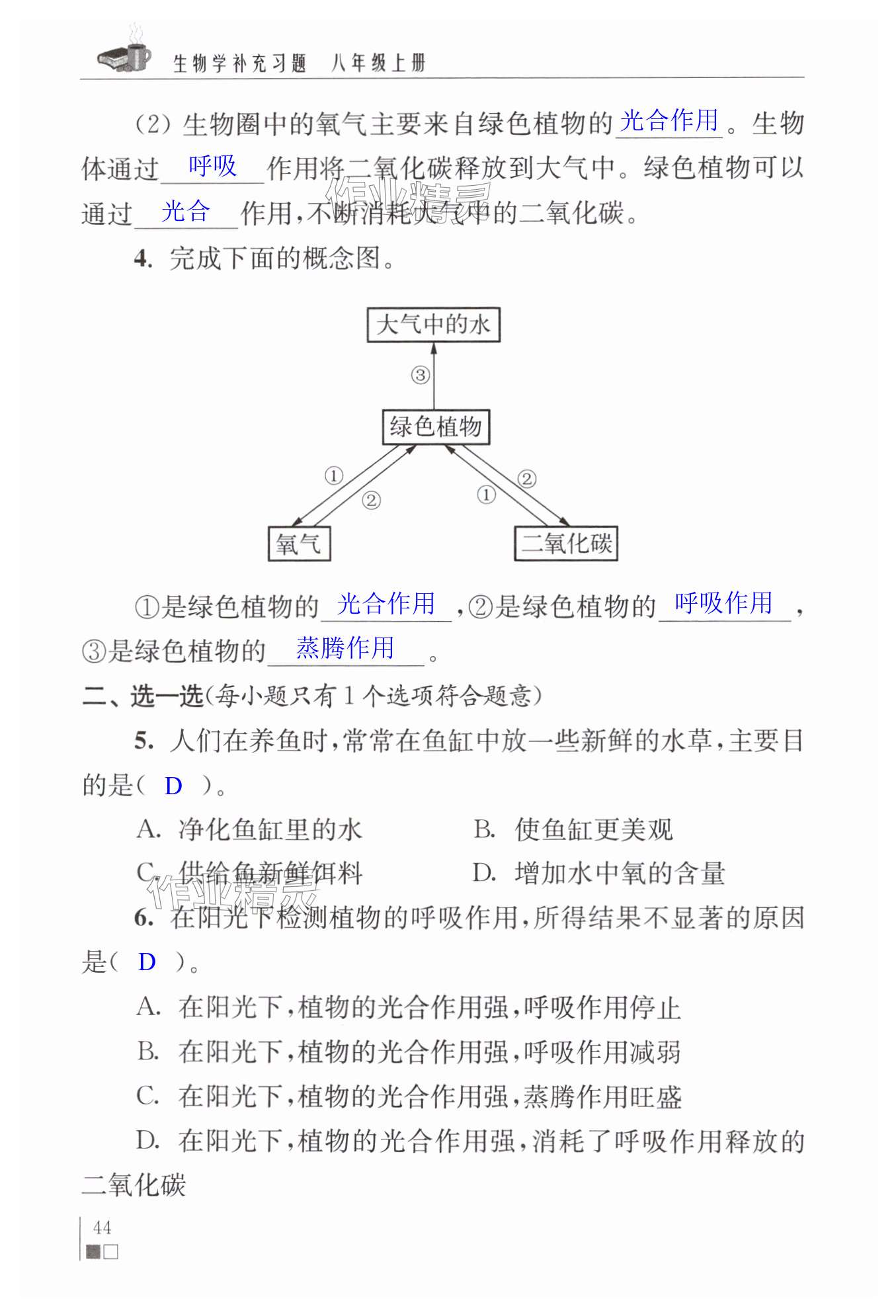 第44页