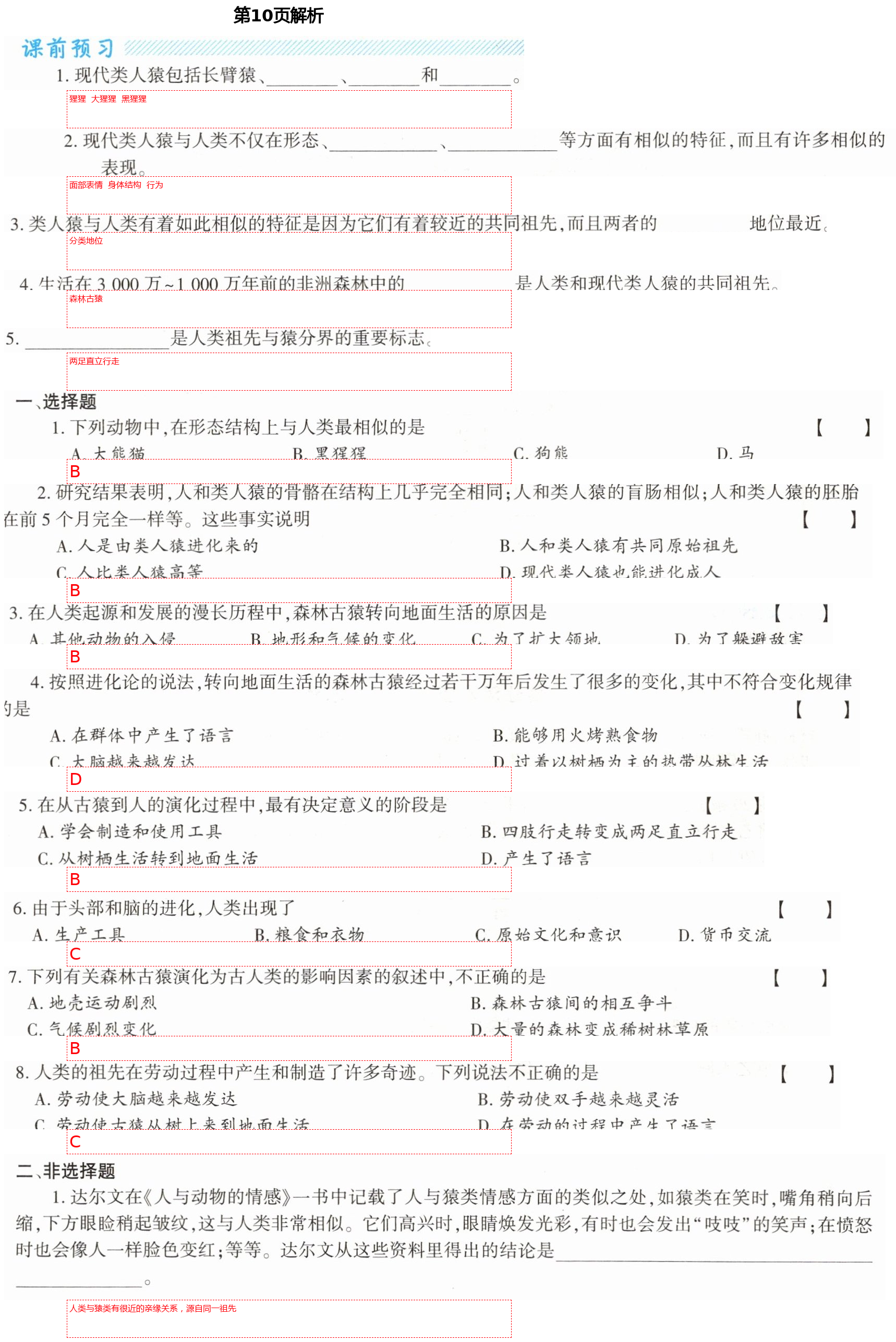 2021年基礎(chǔ)訓(xùn)練八年級(jí)生物下冊(cè)北師大版大象出版社 第10頁(yè)