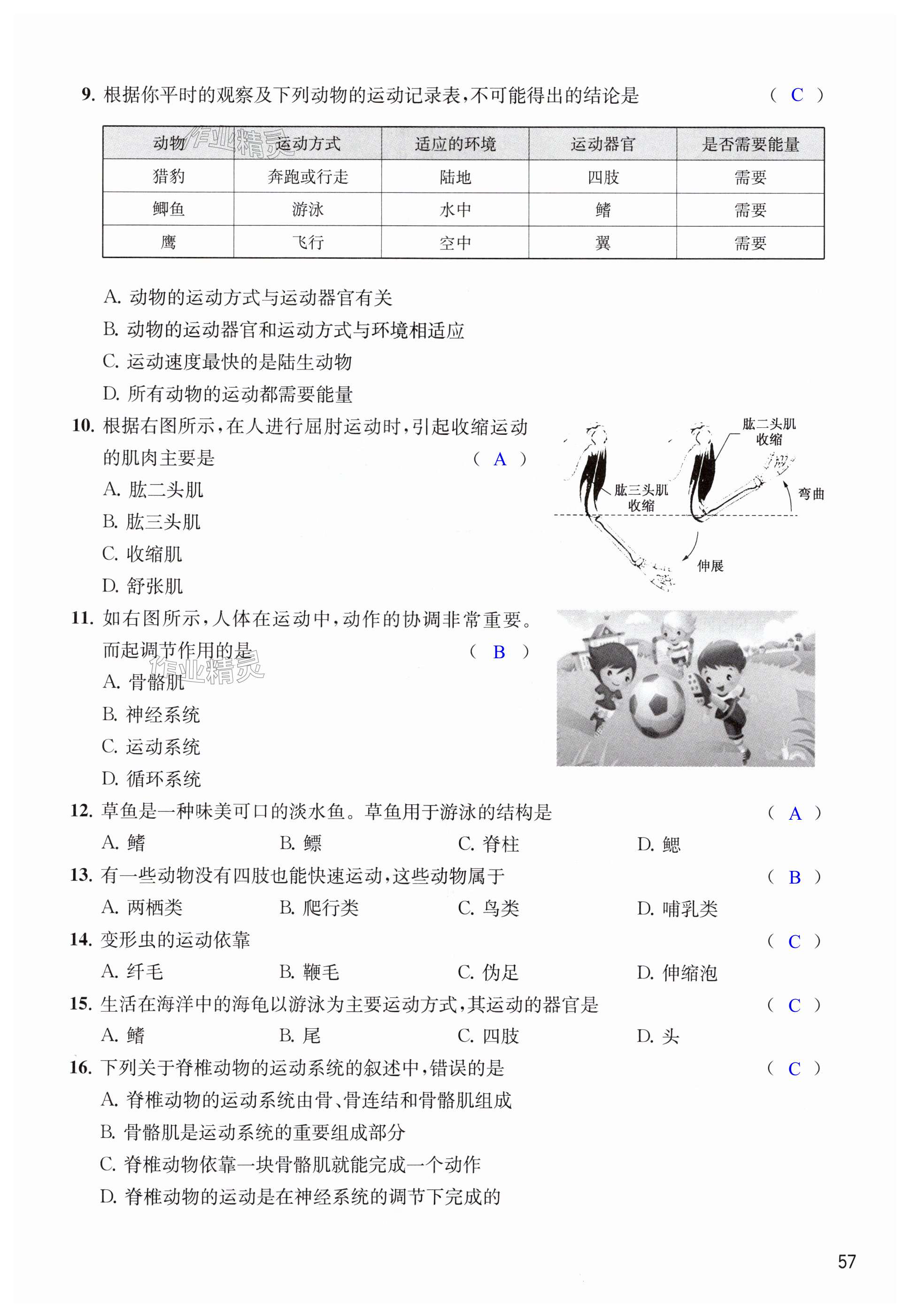 第57页