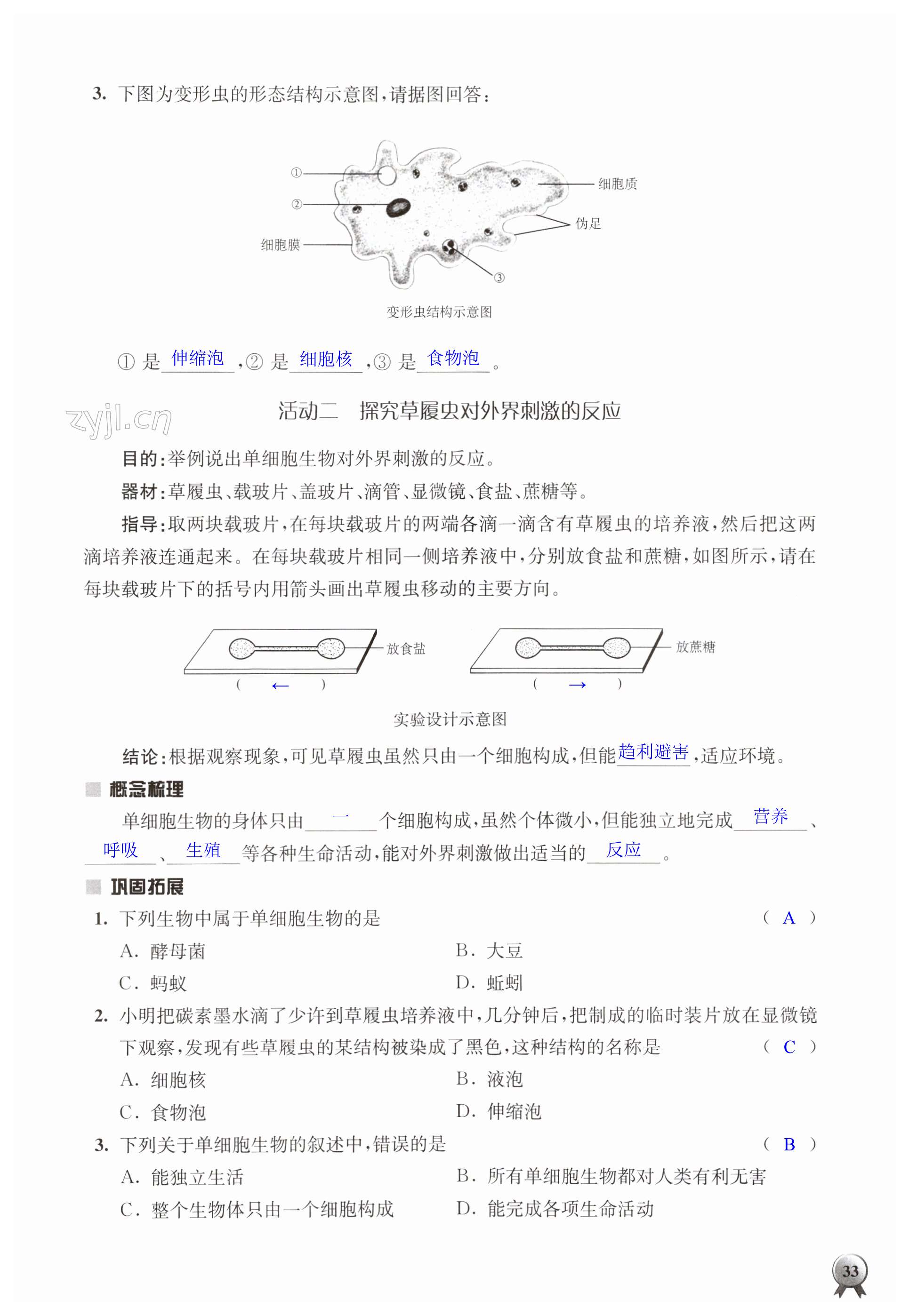 第33页