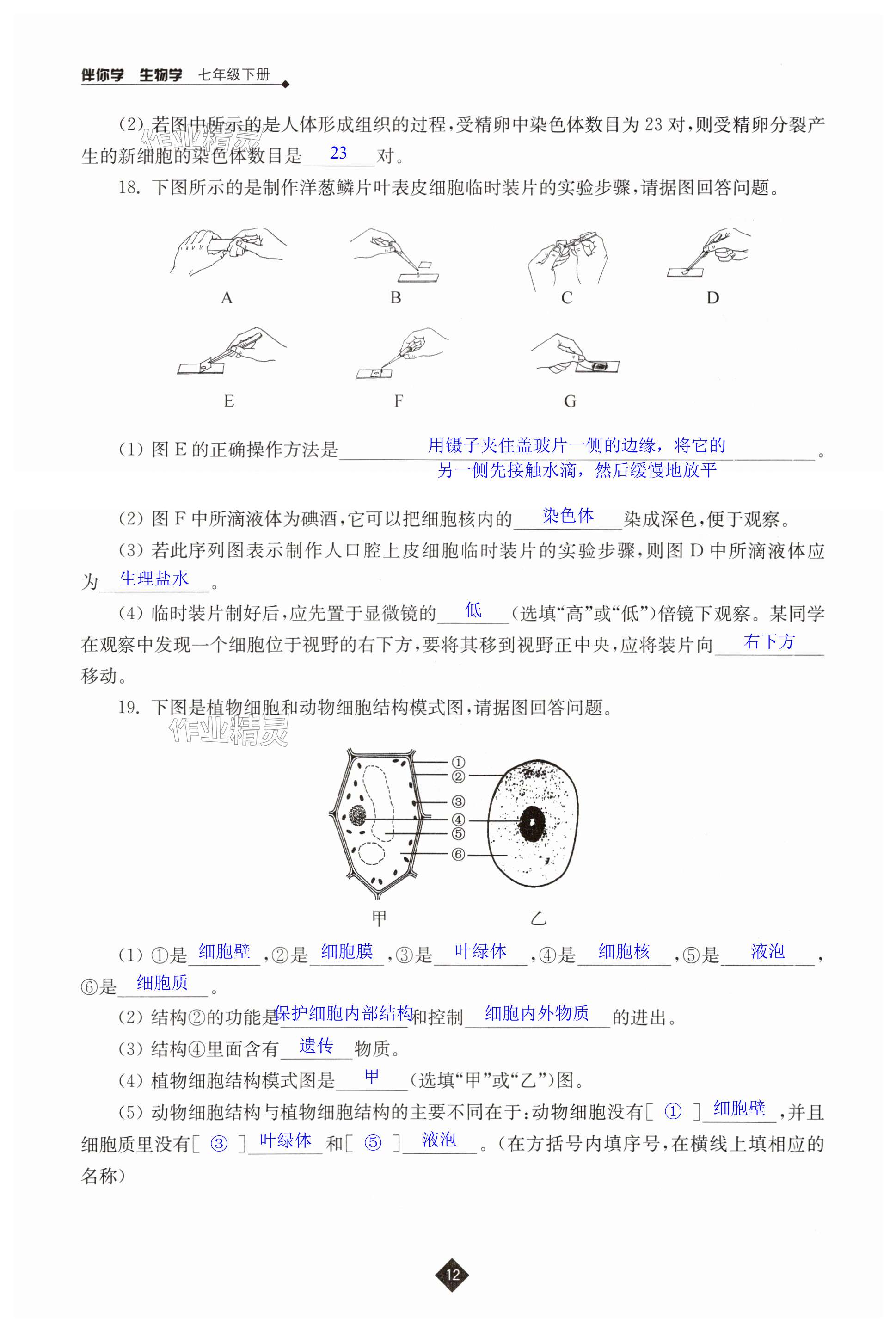 第12页