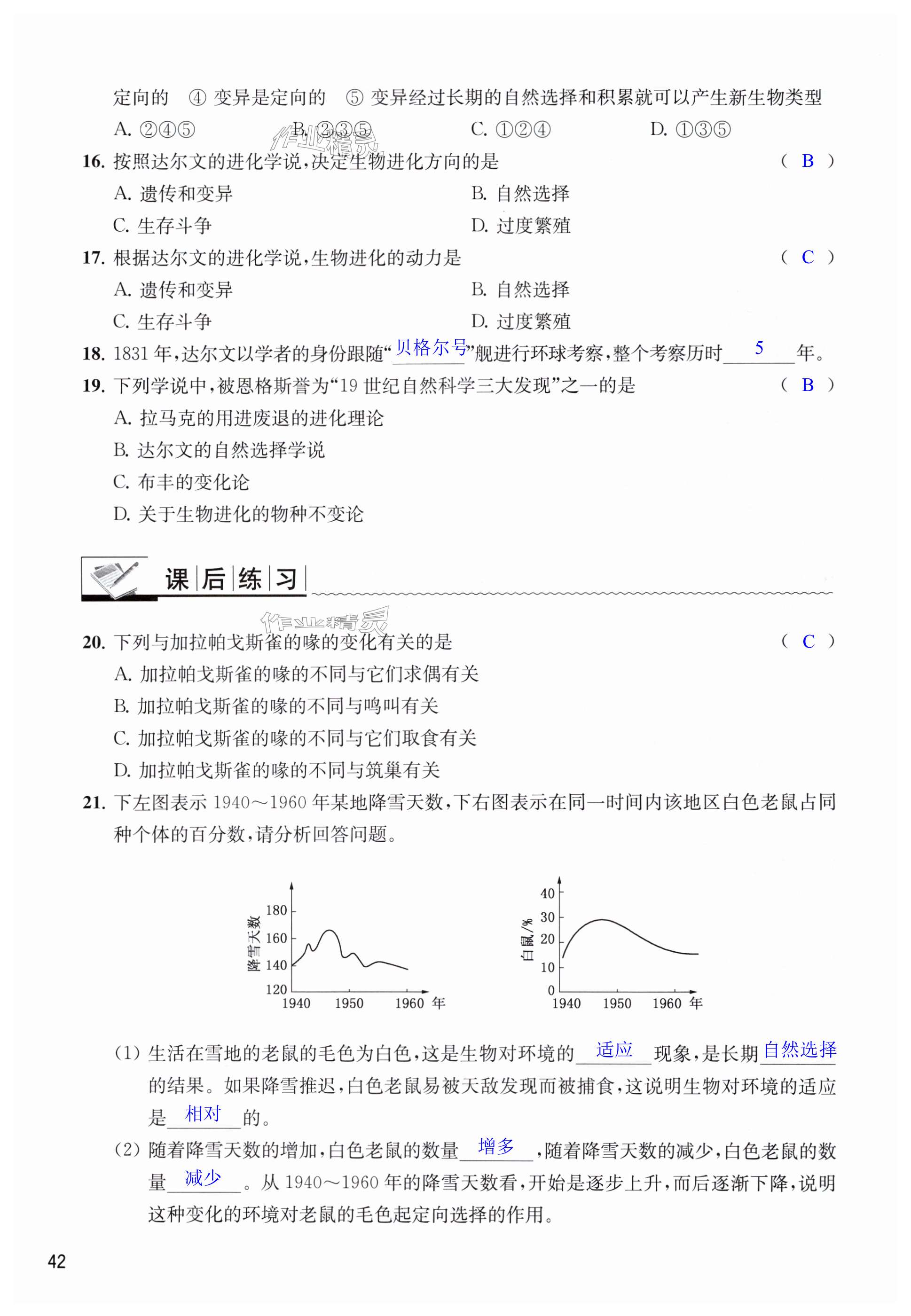 第42页