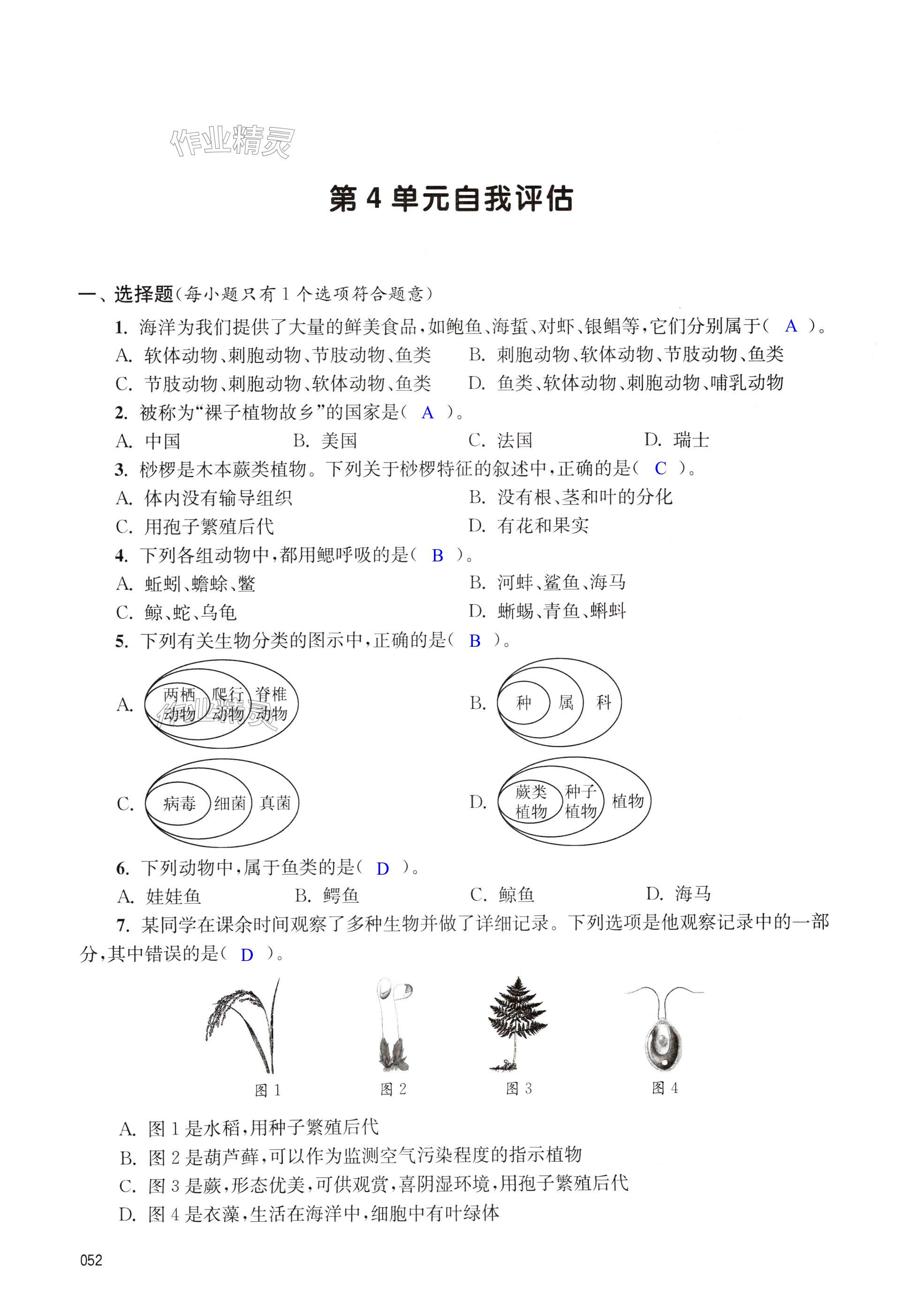 第52页