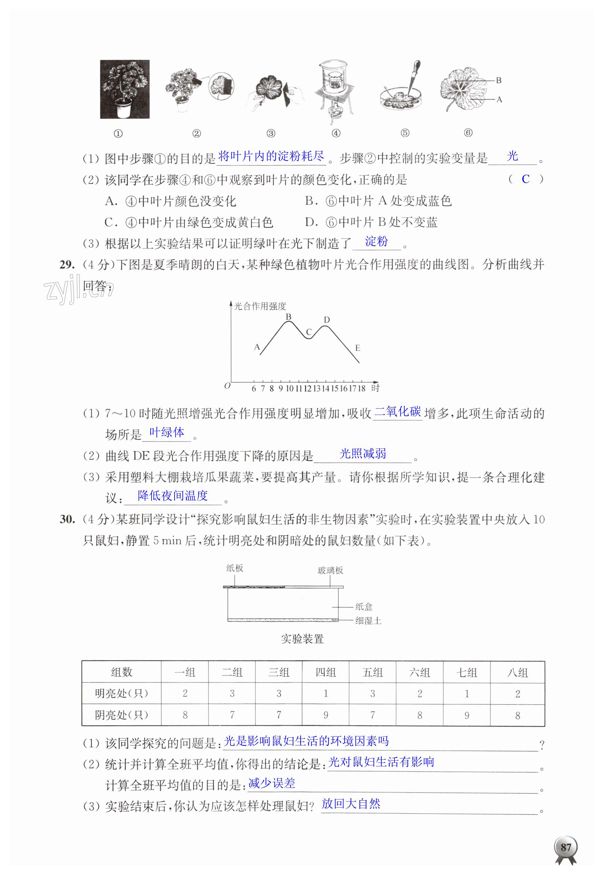 第87页