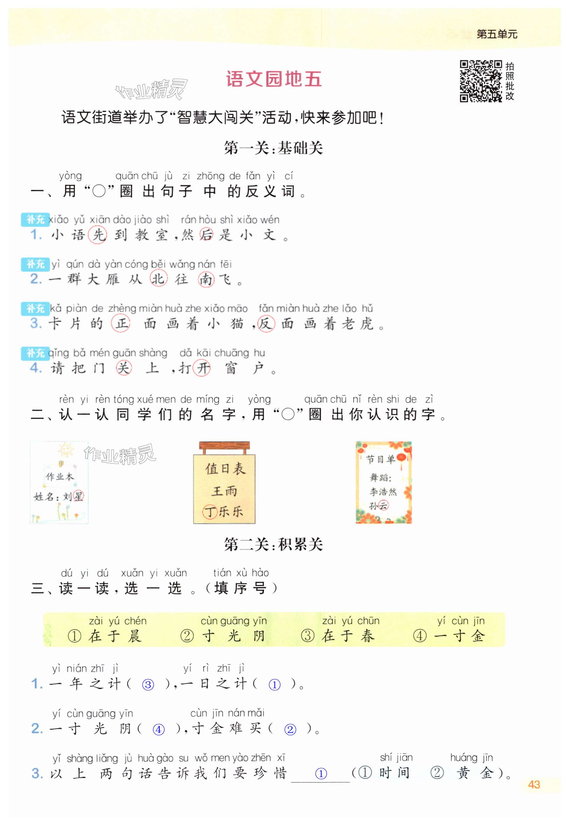 第43页