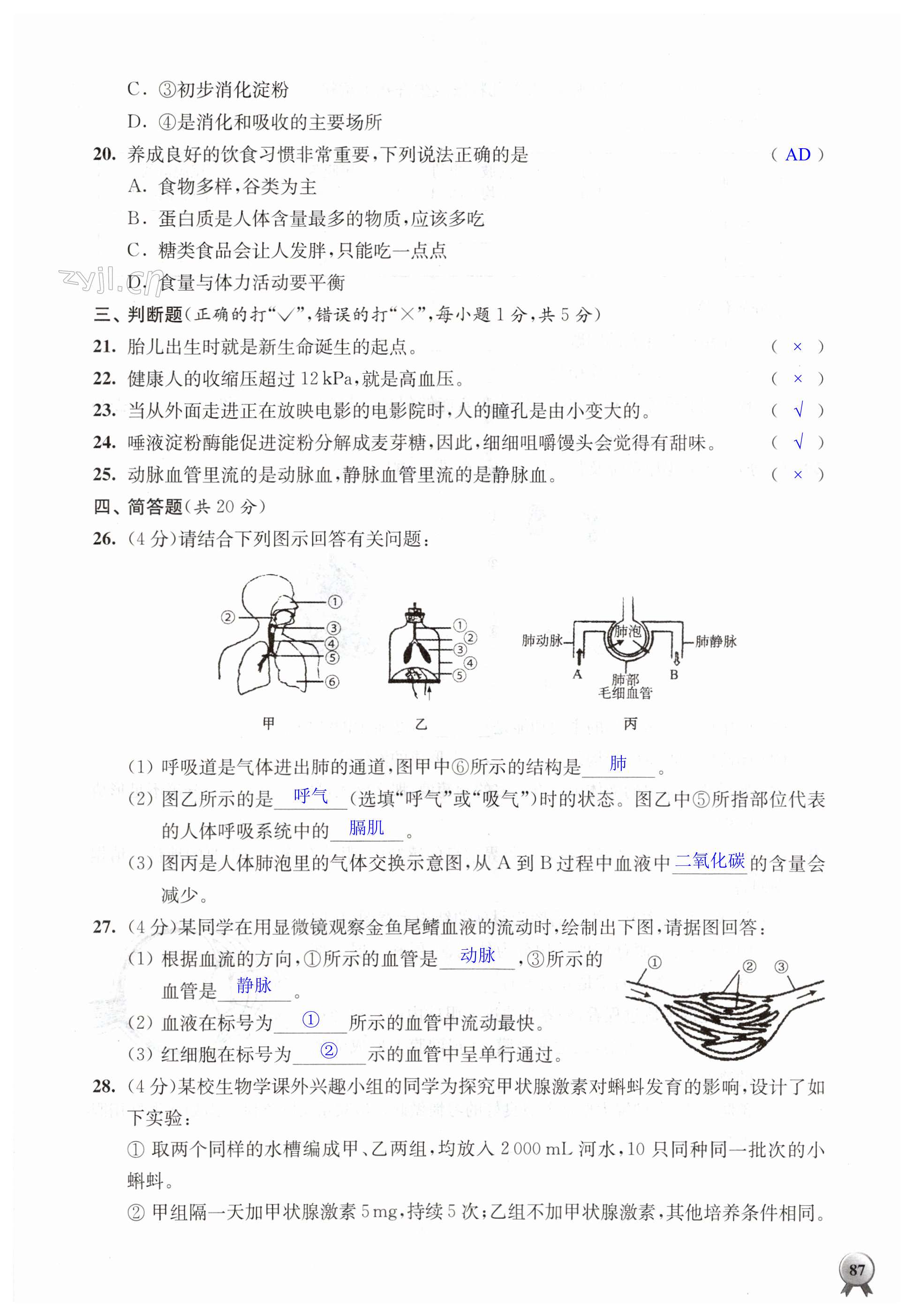 第87页