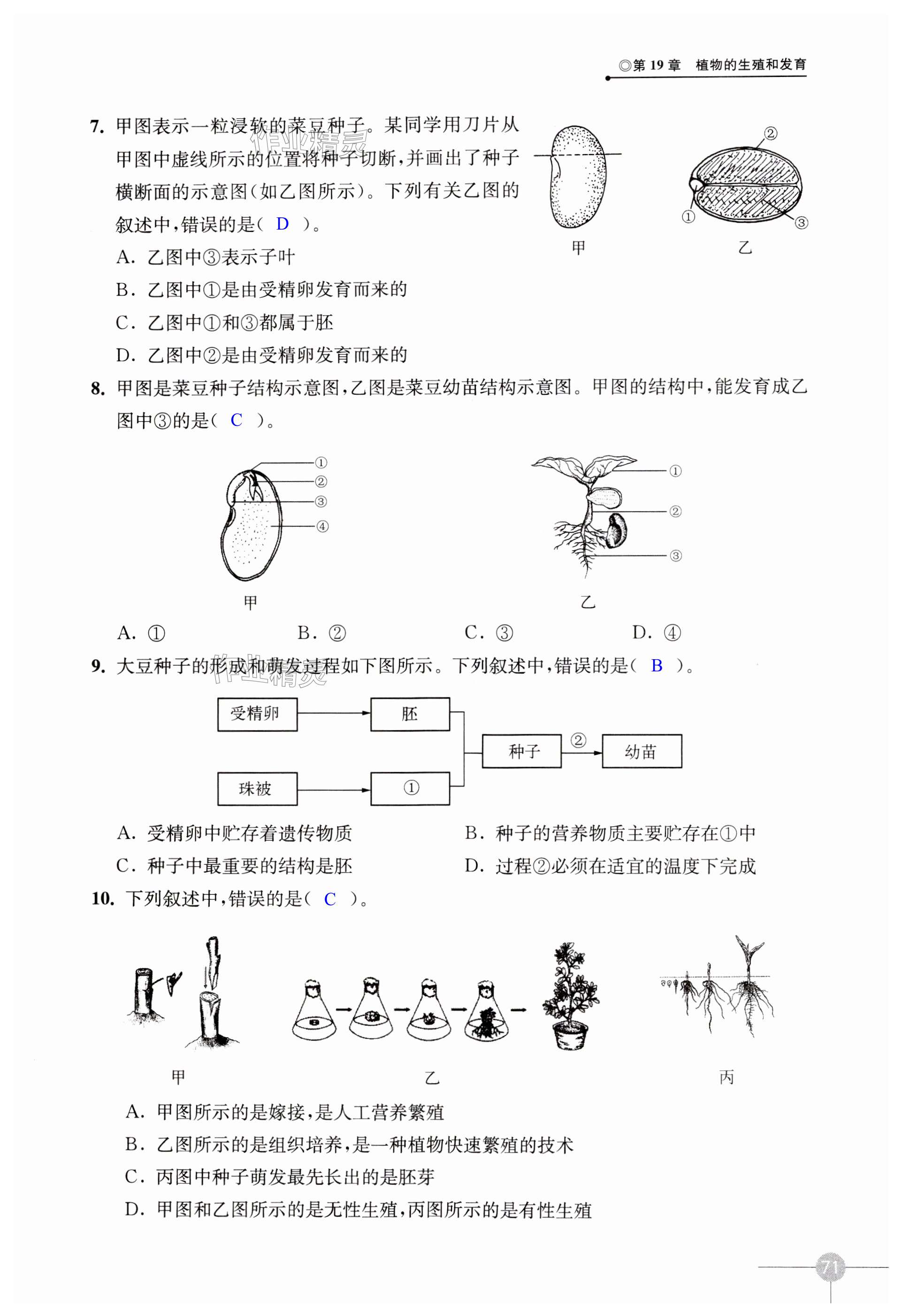 第71页