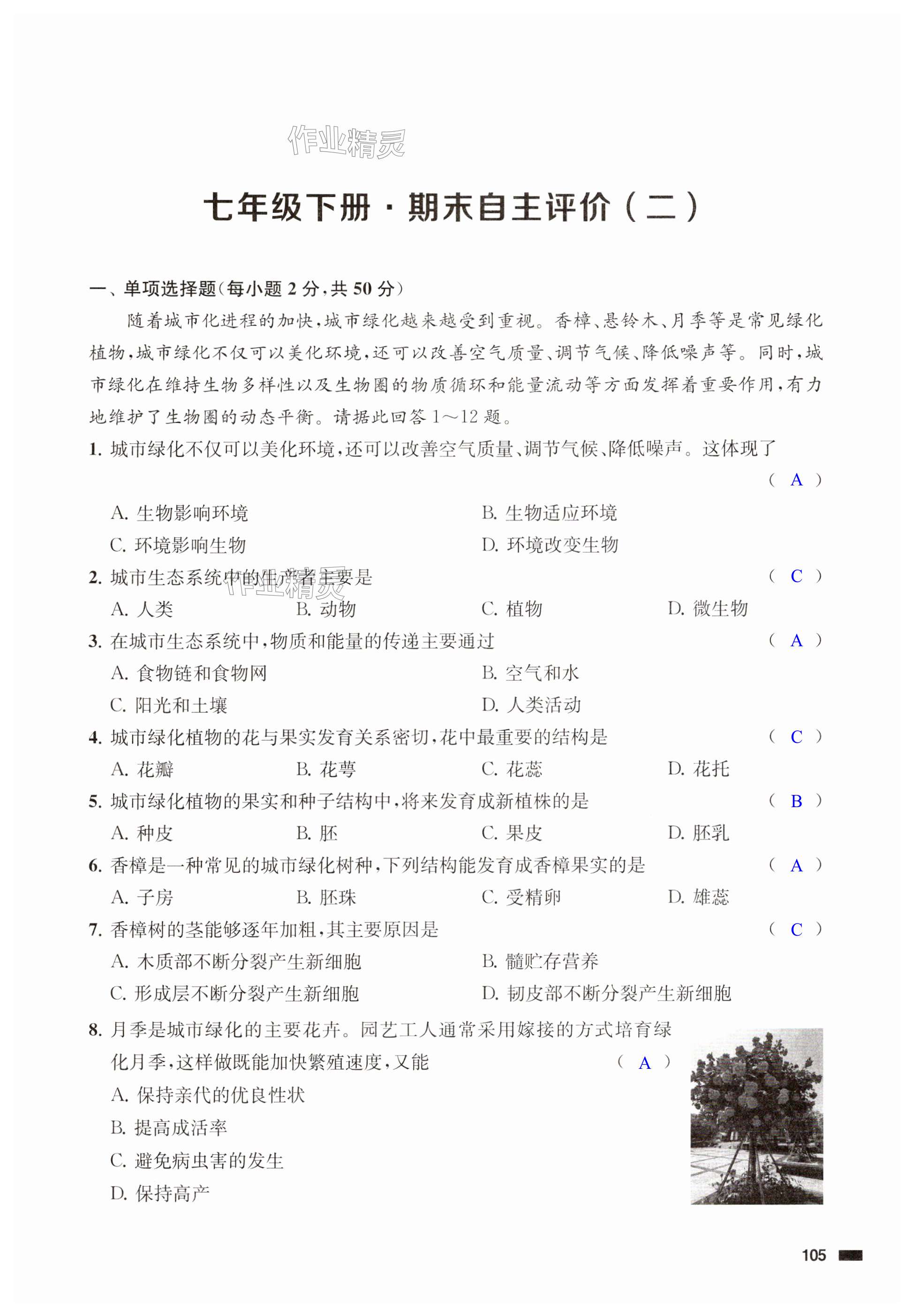 第105页