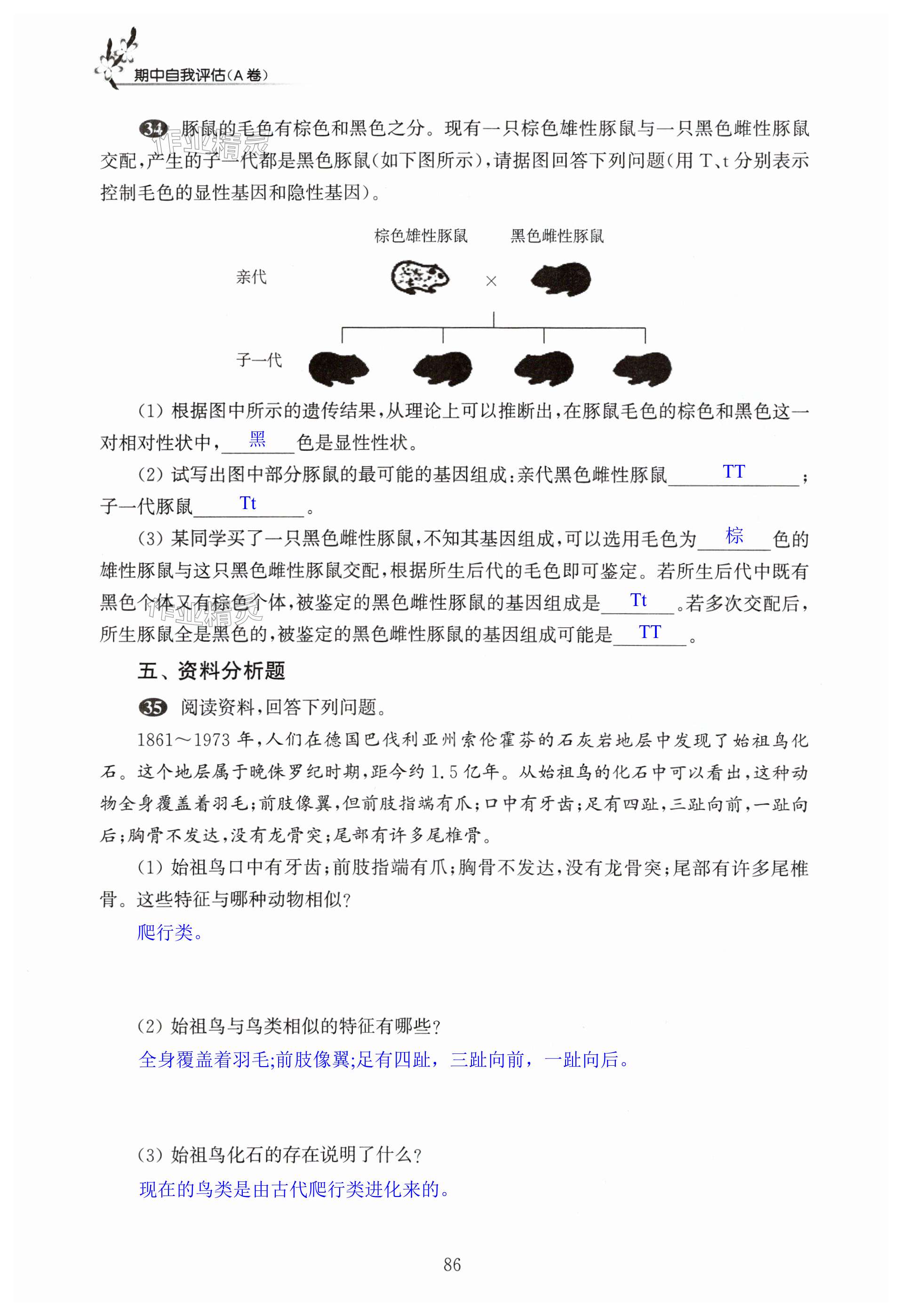 第86页