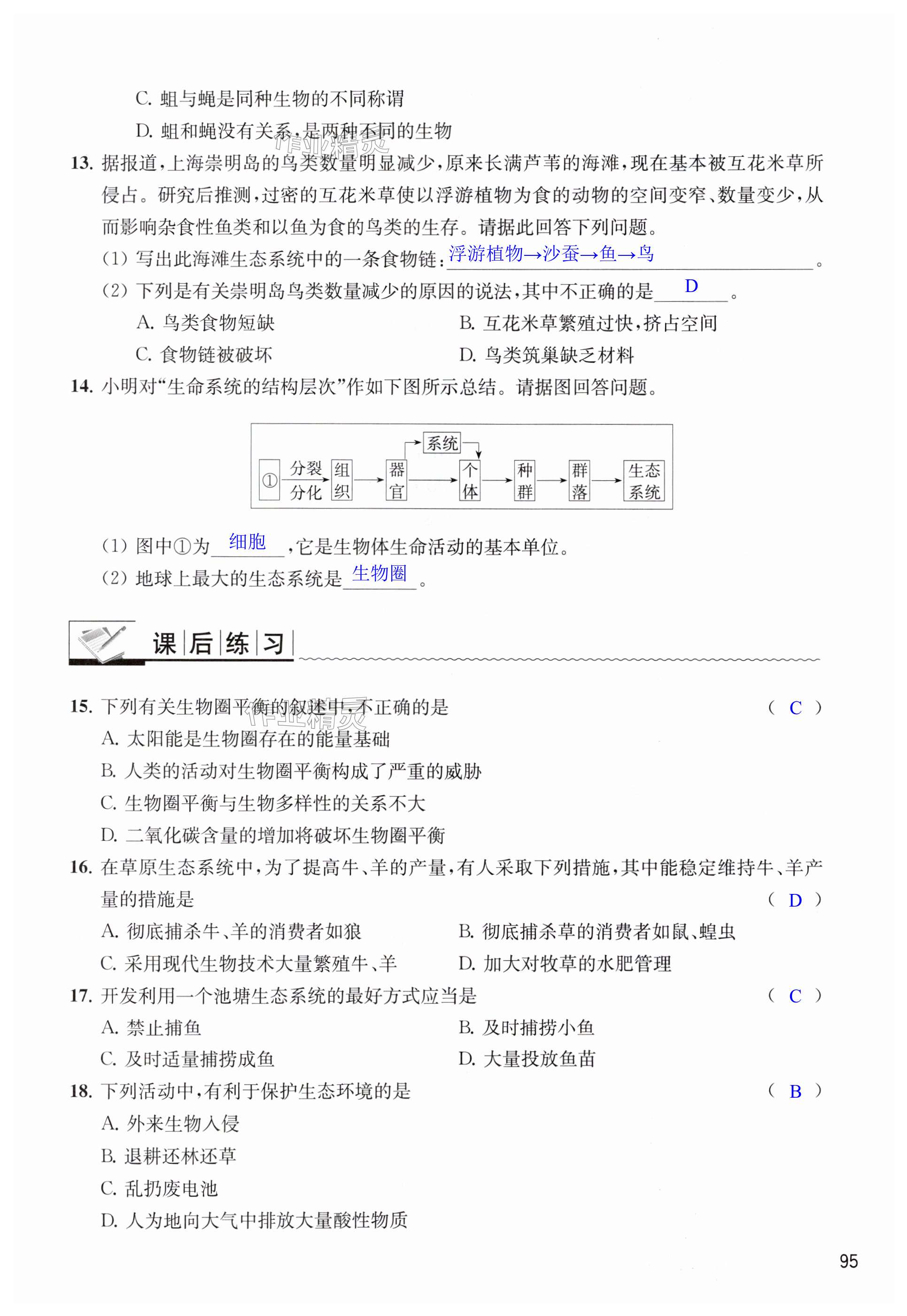 第95页