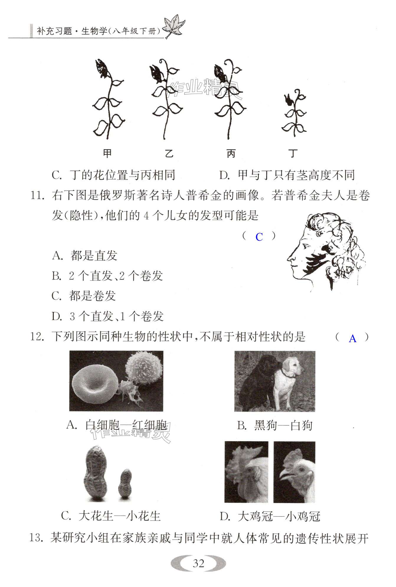 第32页