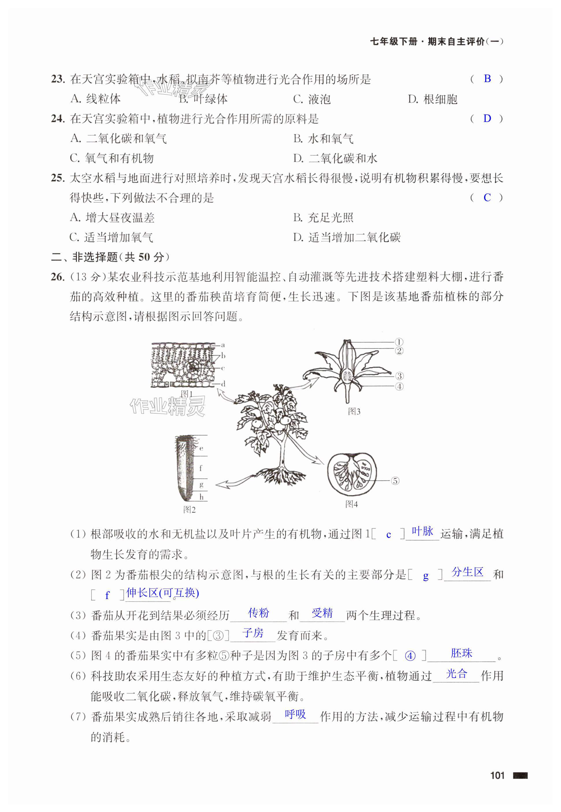 第101页